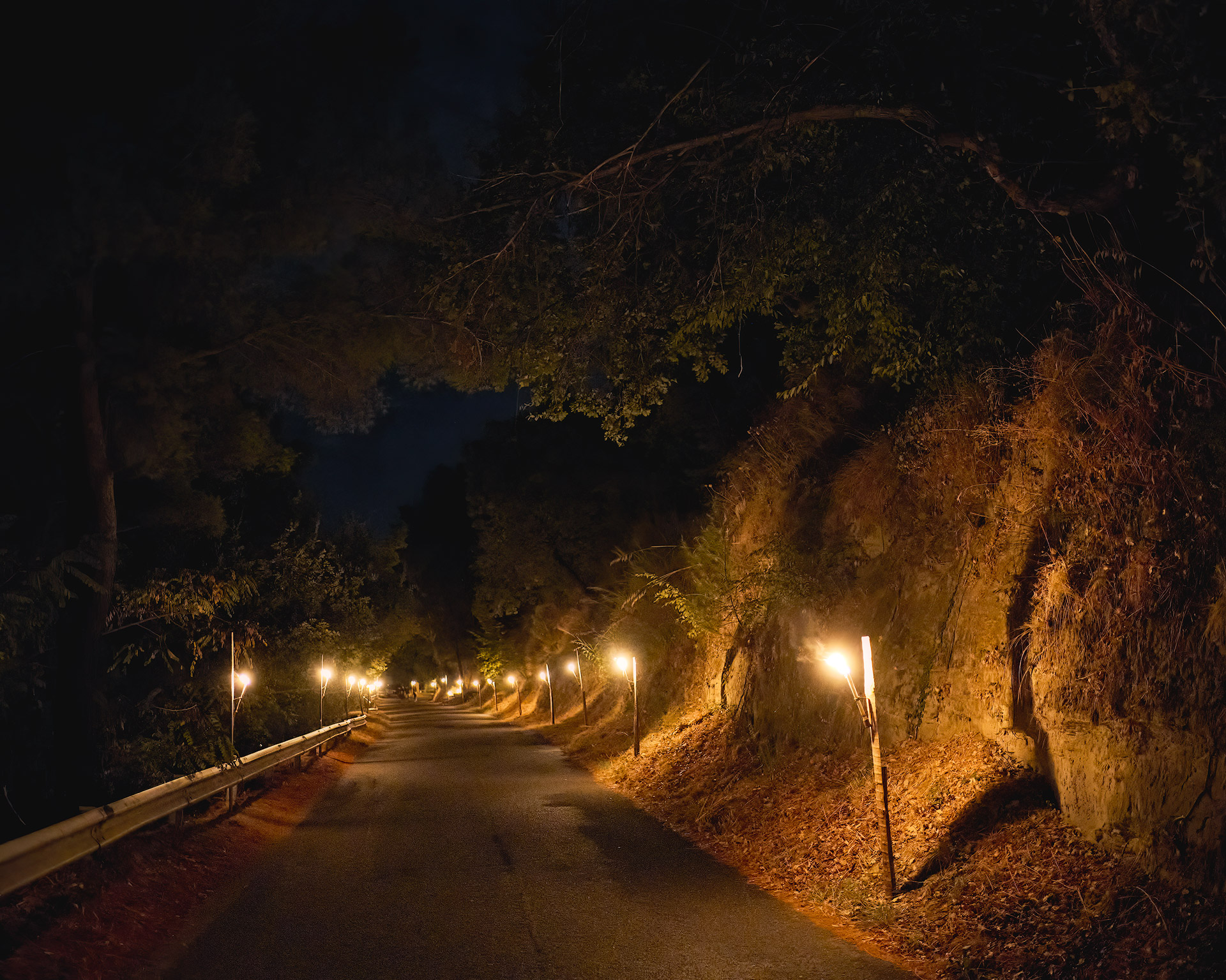 Quella strada nel bosco