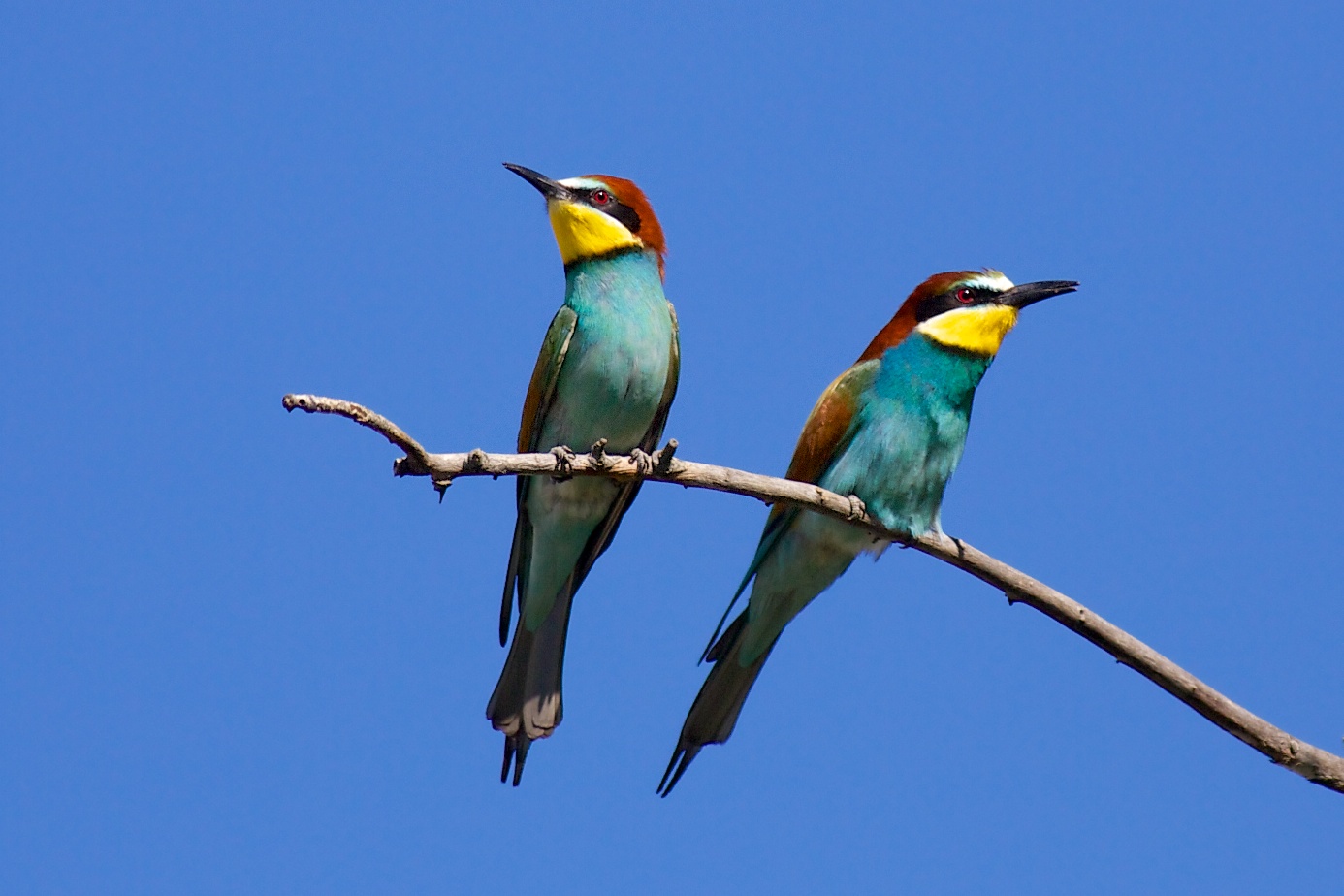 I'm not talking with you anymore!