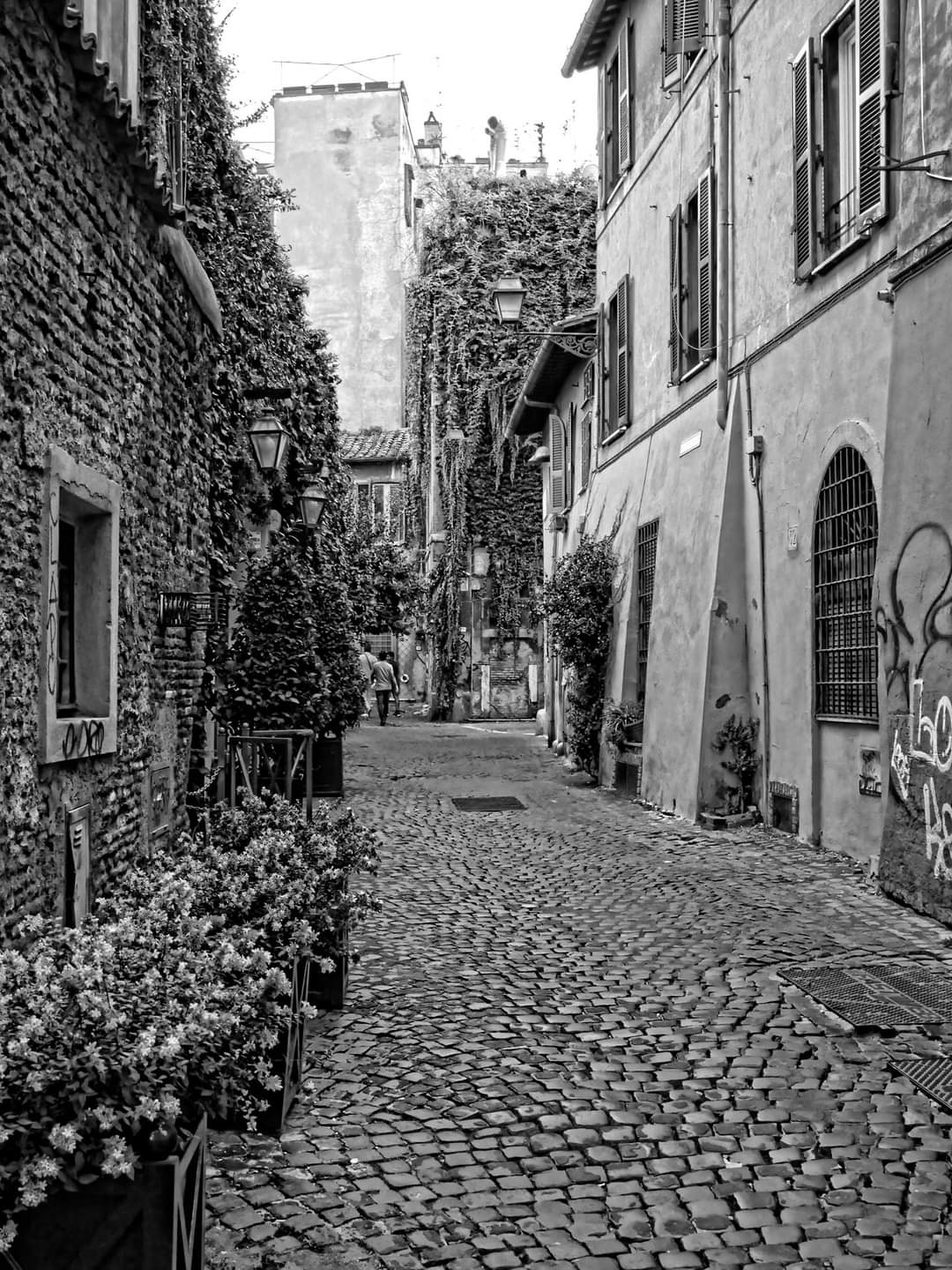 Trastevere