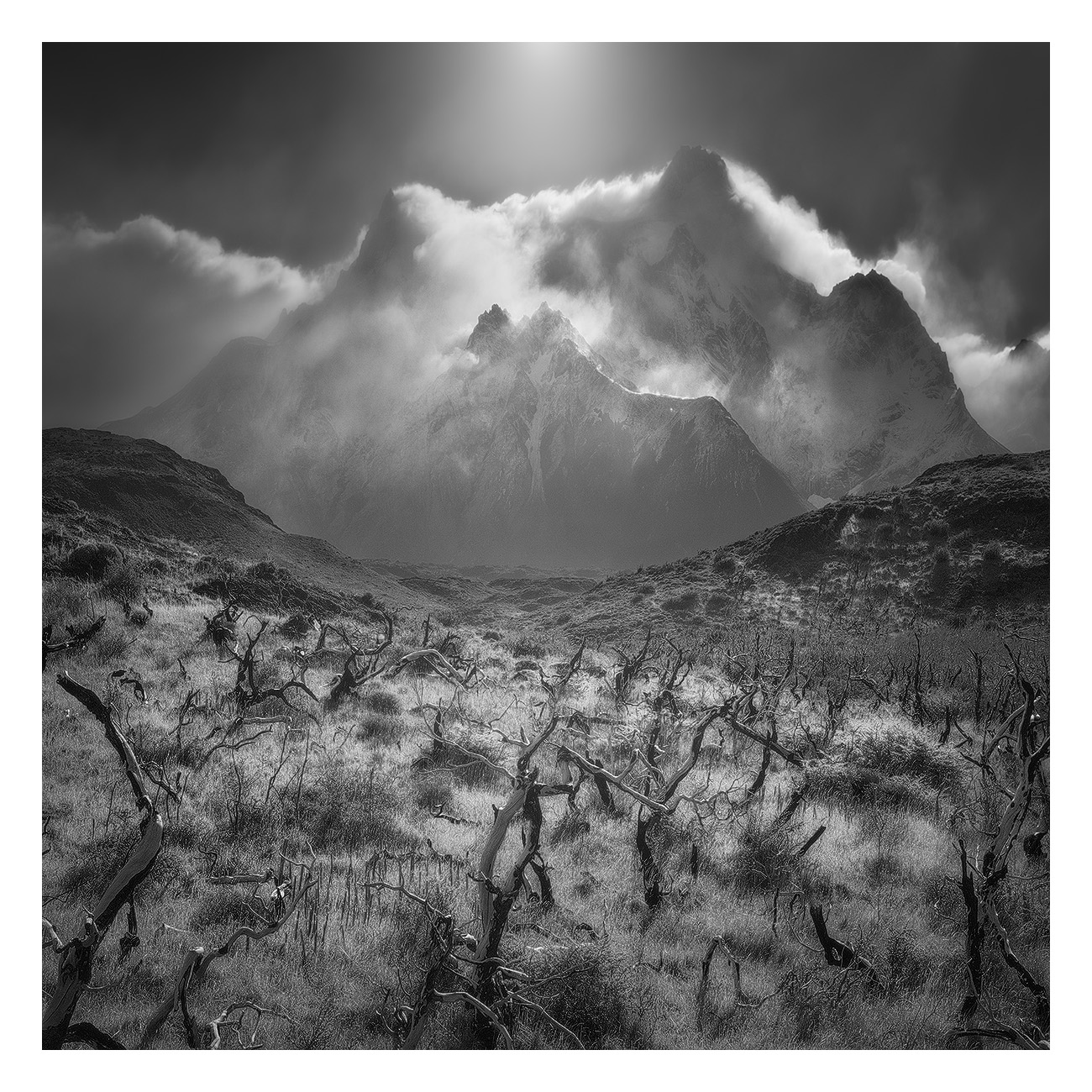 Patagonia la valle dei sopravvissuti