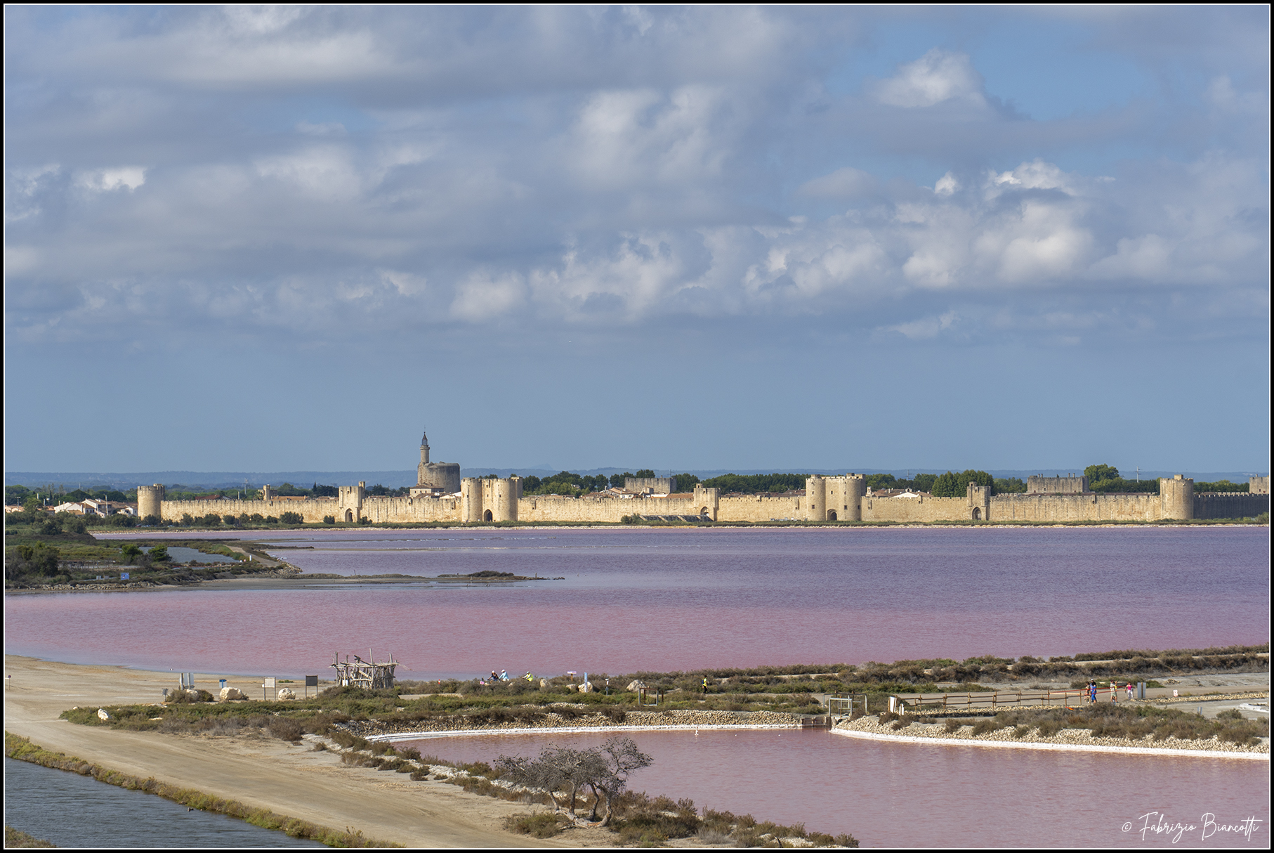 Salin d'Aigues-Mortes