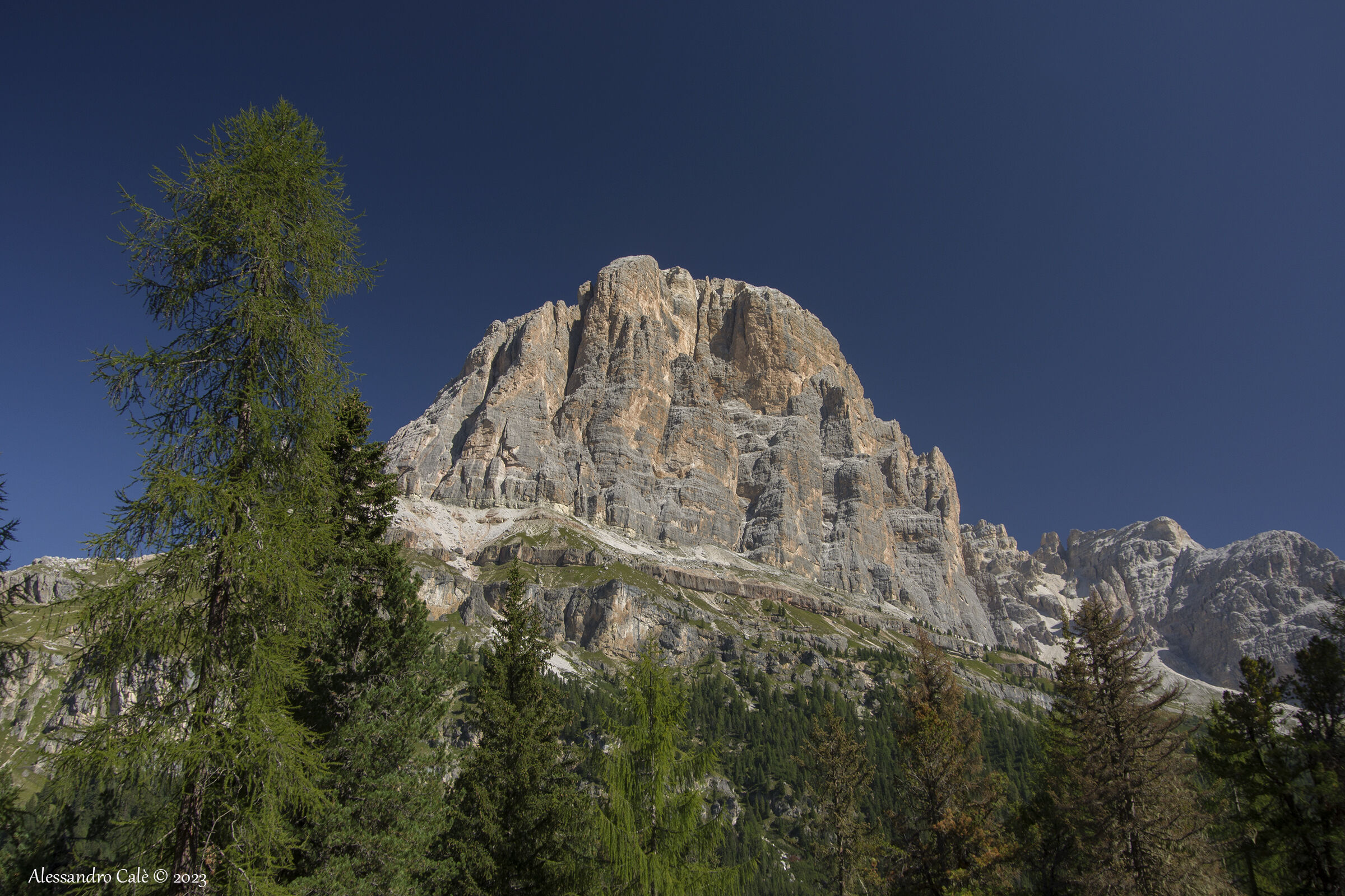 Tofana di Rozes 5600