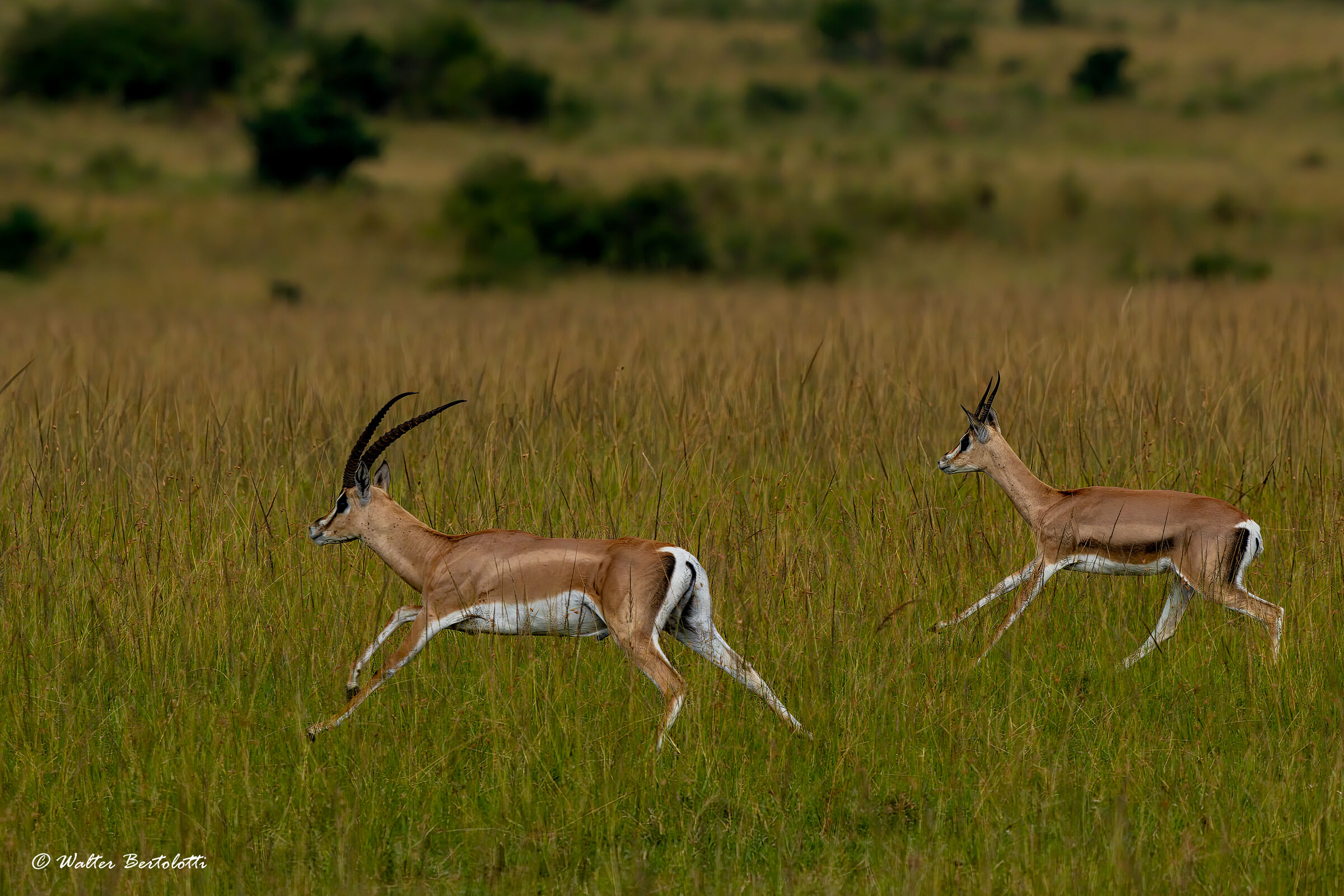 correre è imperativo