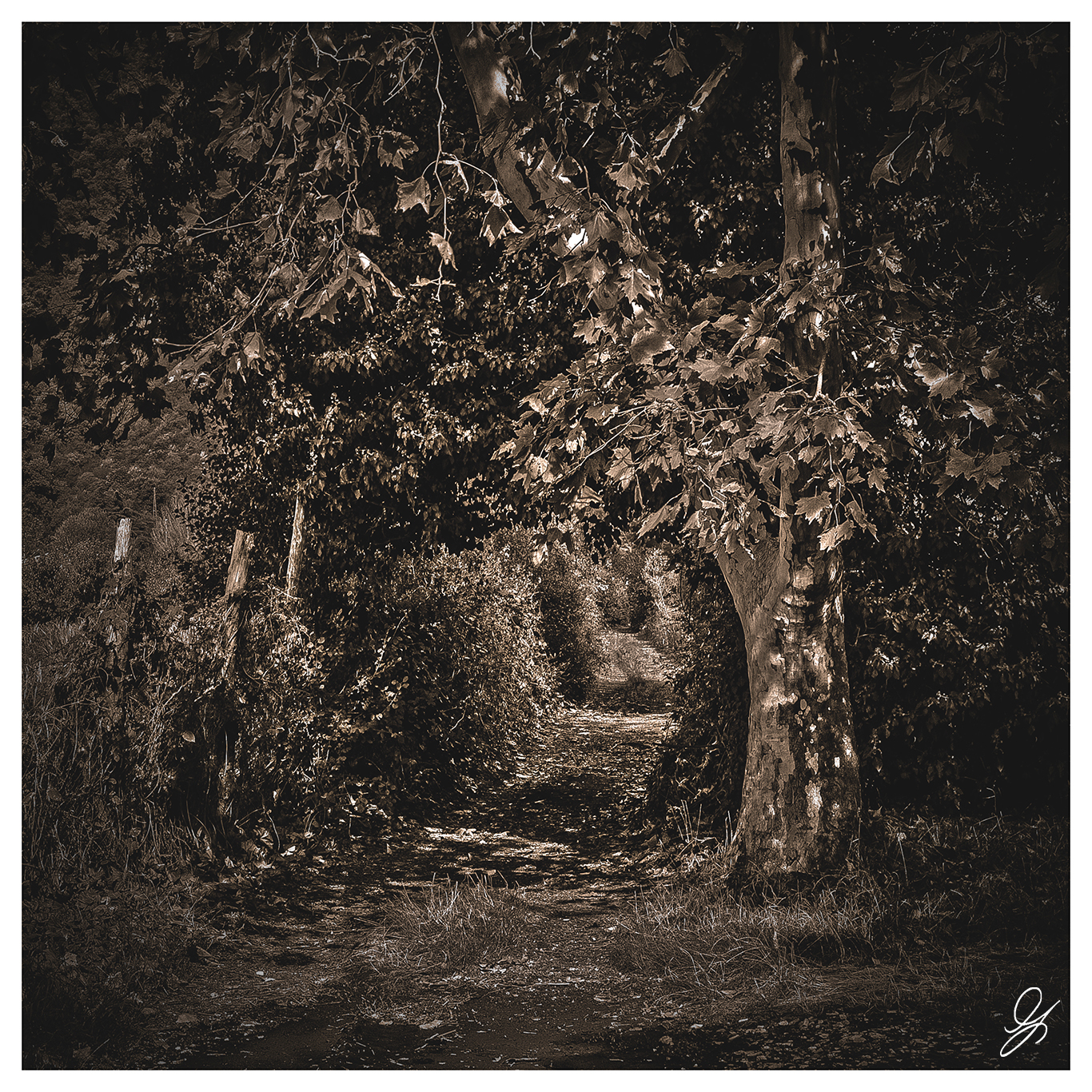 In the middle of the journey of our life...