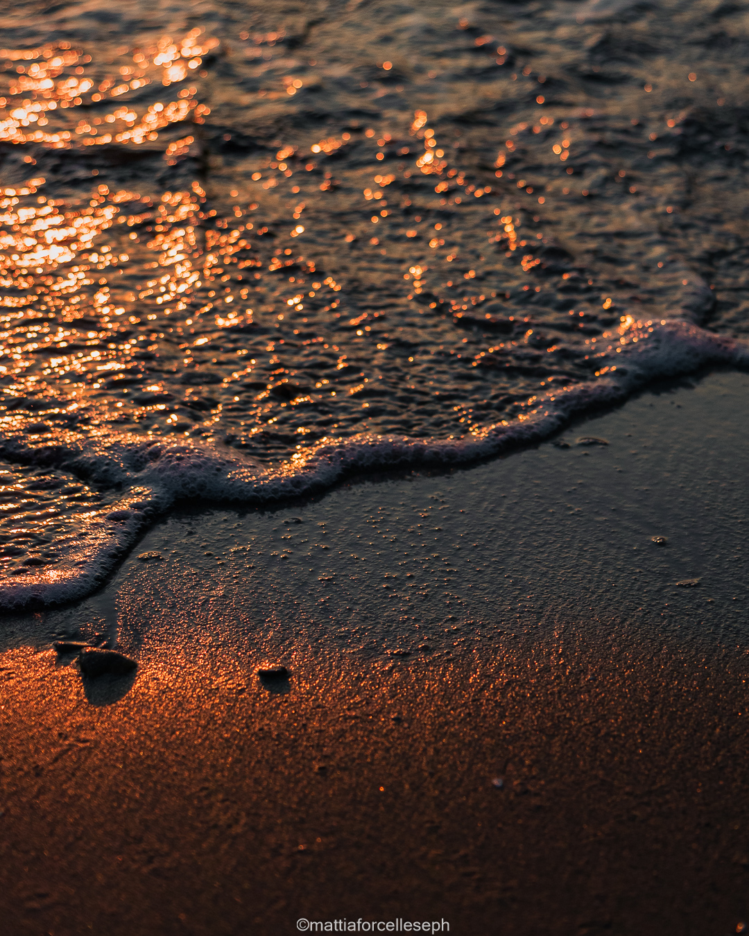 Shoreline at dawn