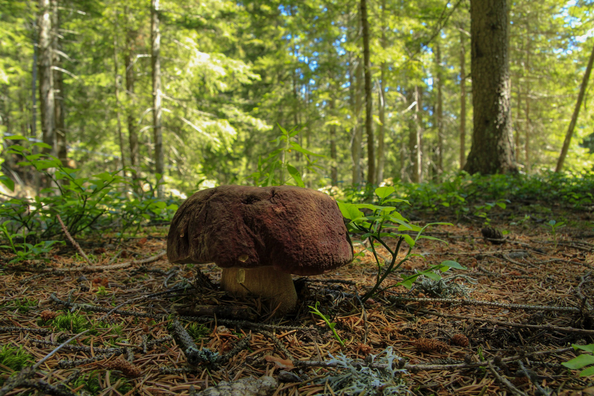 I hide but not too much