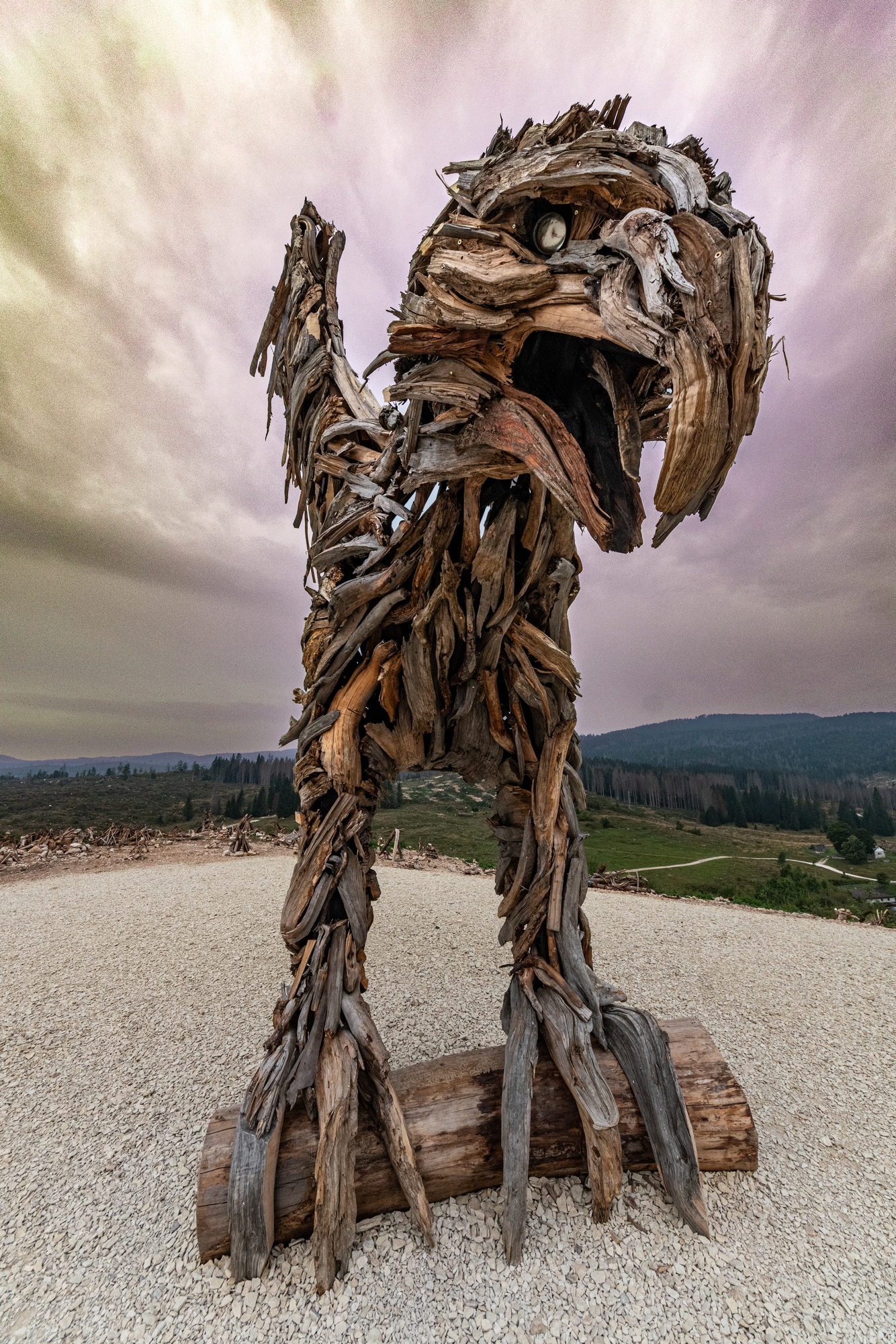 1 The eagle of Vaia by Marco Martalar in Marcesina