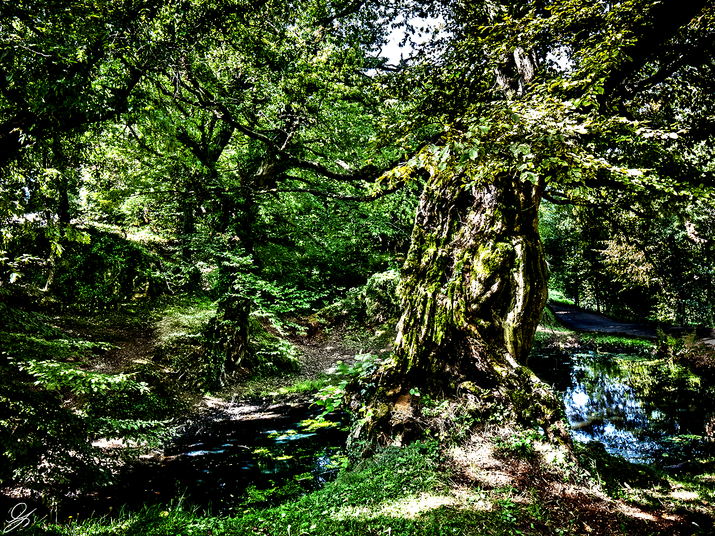 Don't take me into the woods at night...