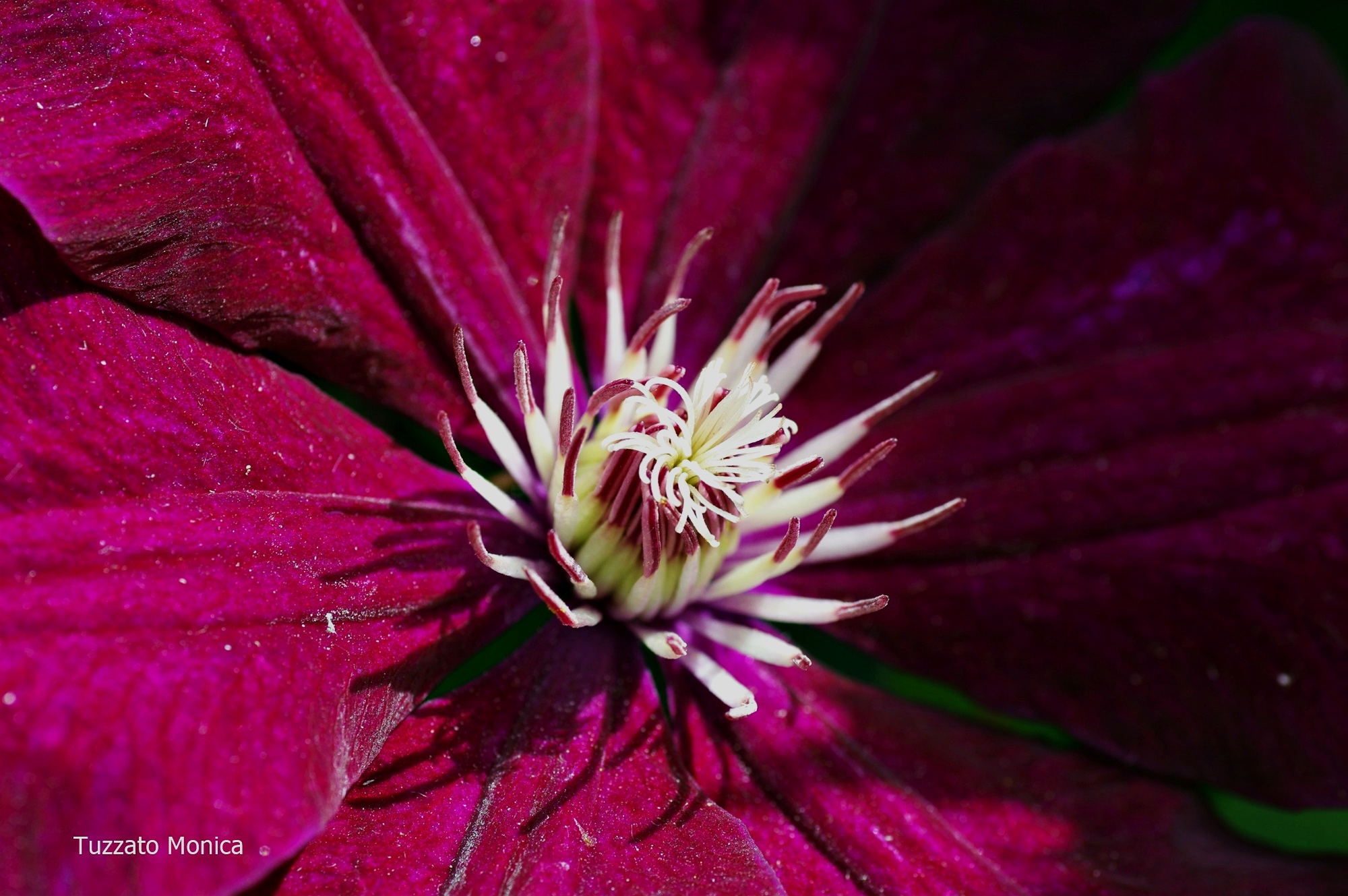Untitled Photo