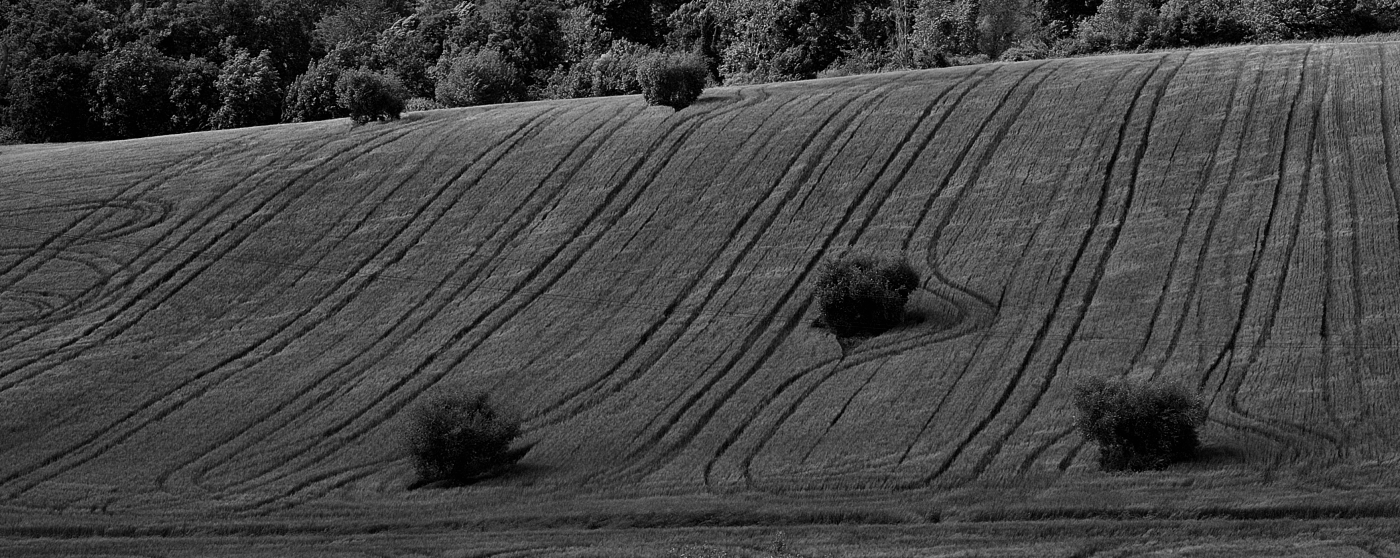 Poetiche geometrie b&n