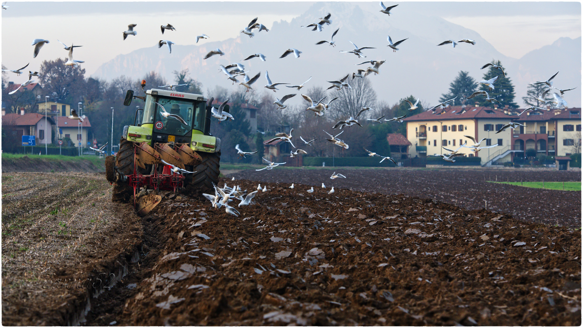 The work of the fields