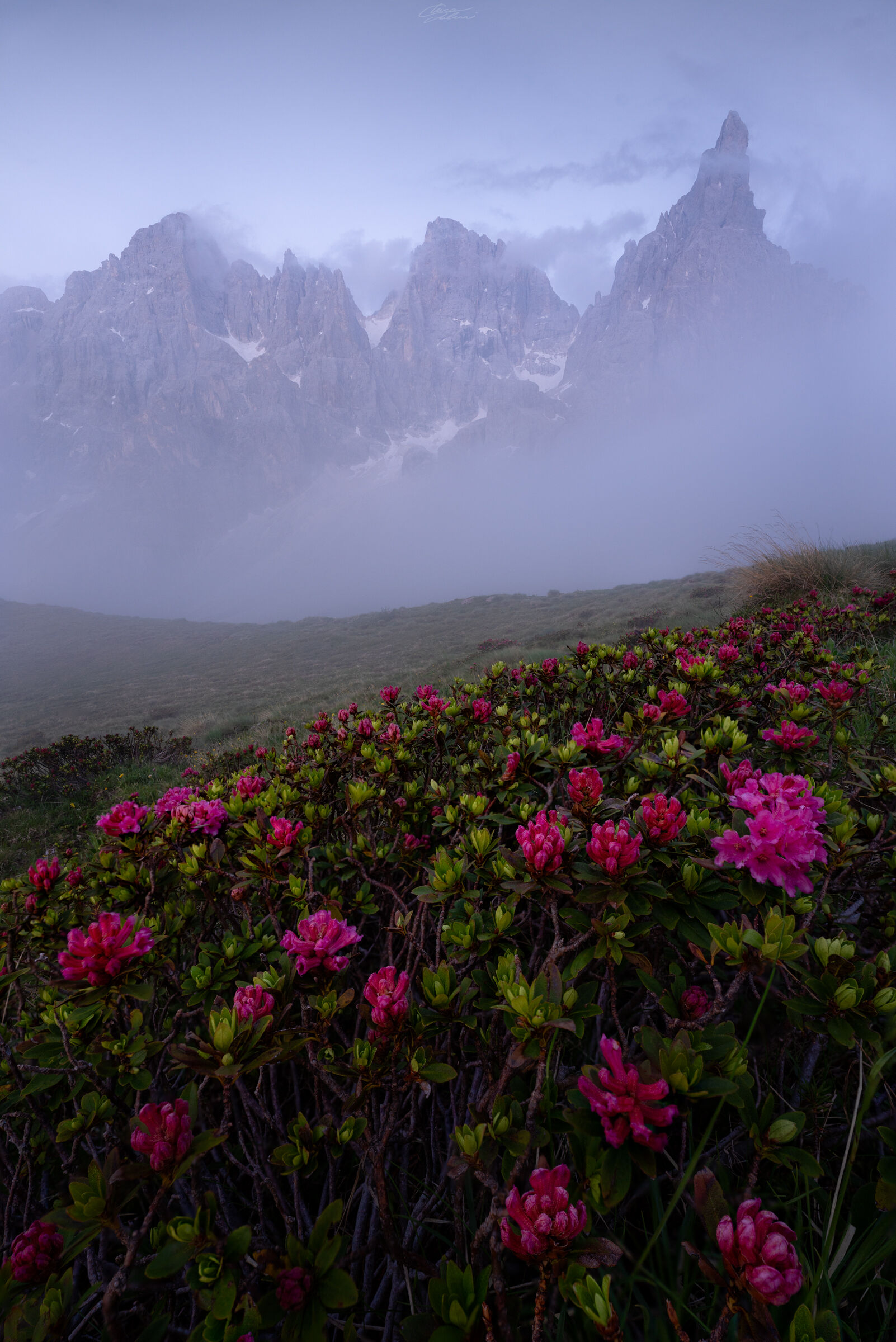 Mystical