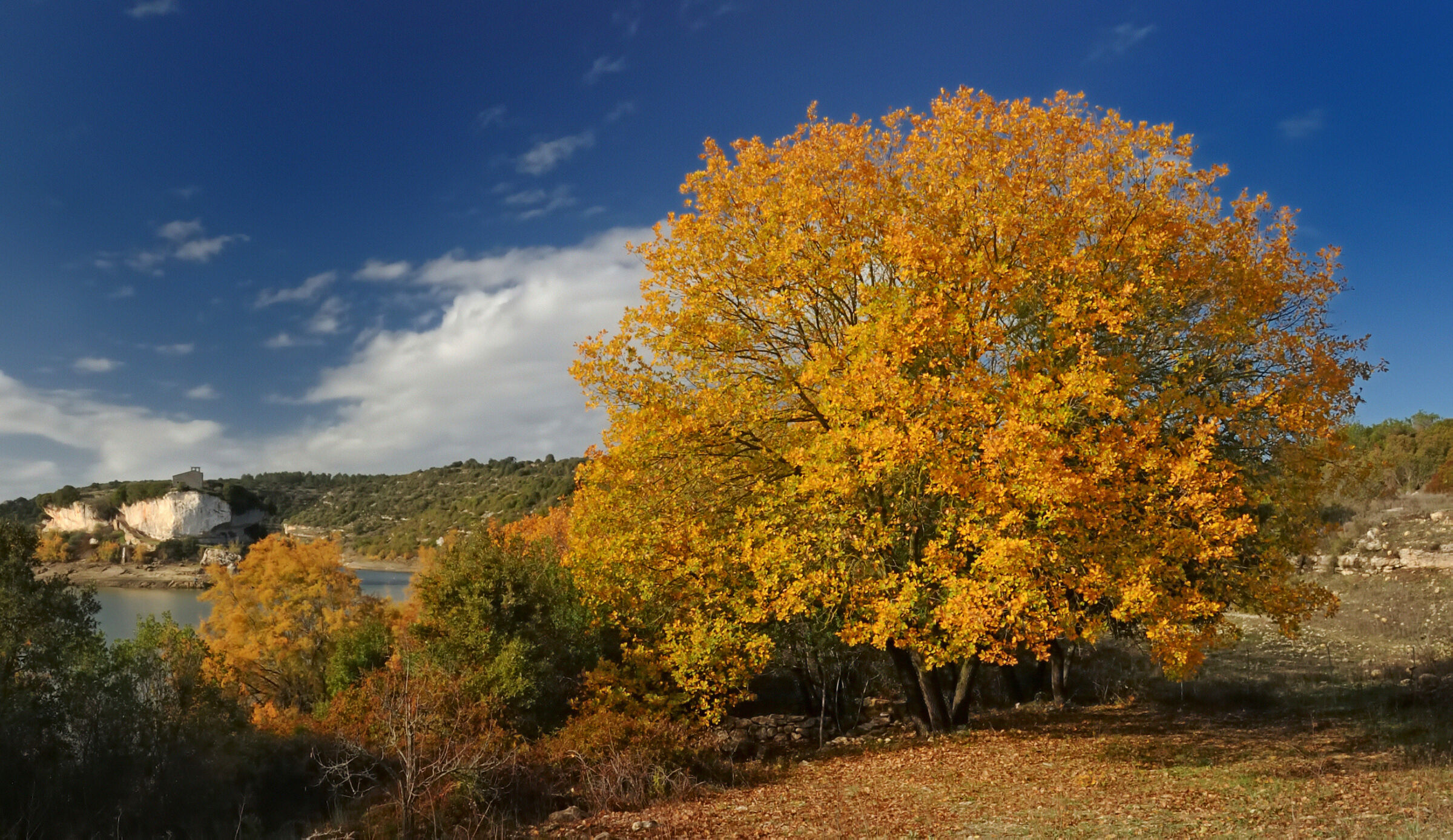 Colors and sounds of Sardinia