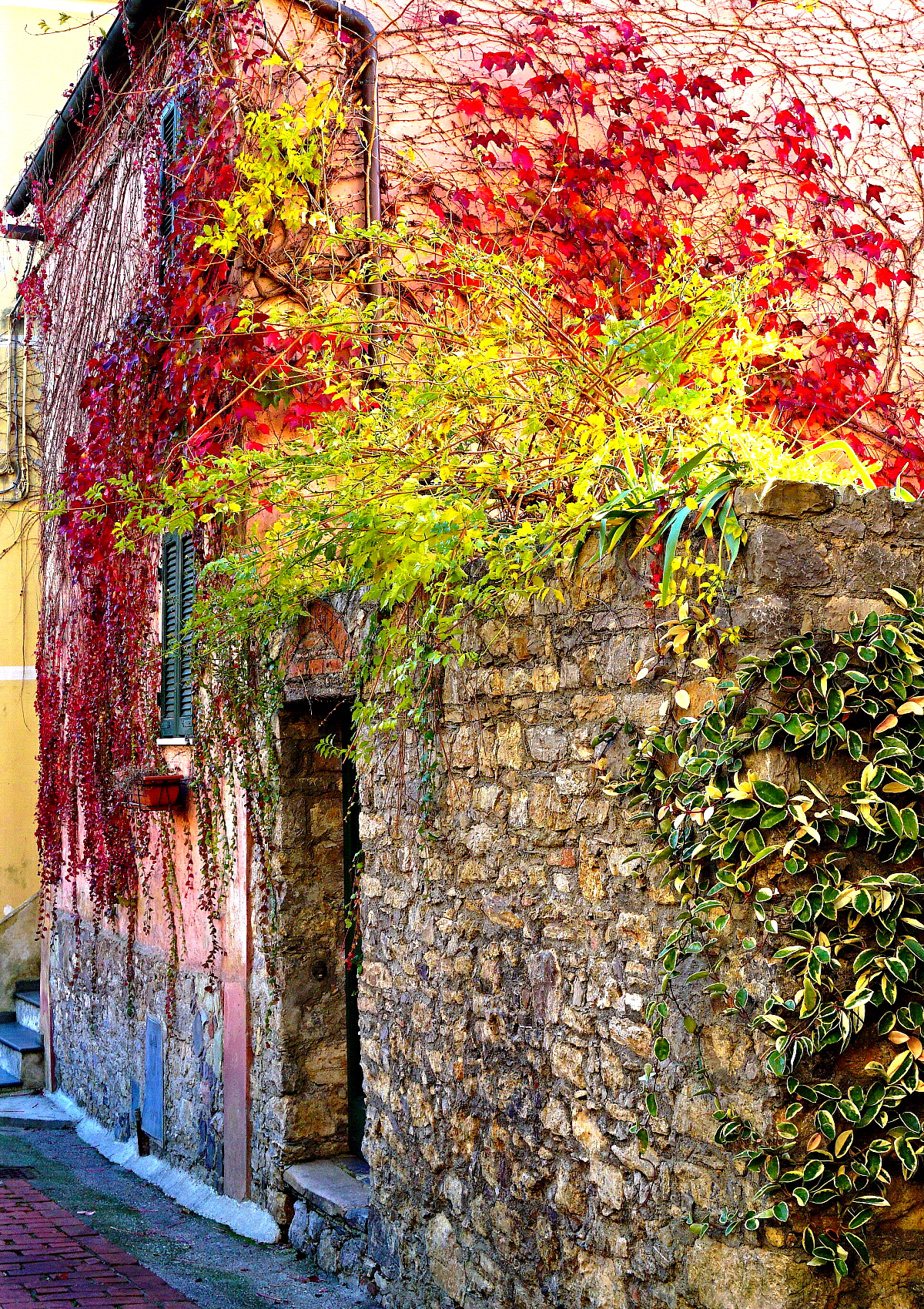 Il sopravvento della natura!(Montemarcello)