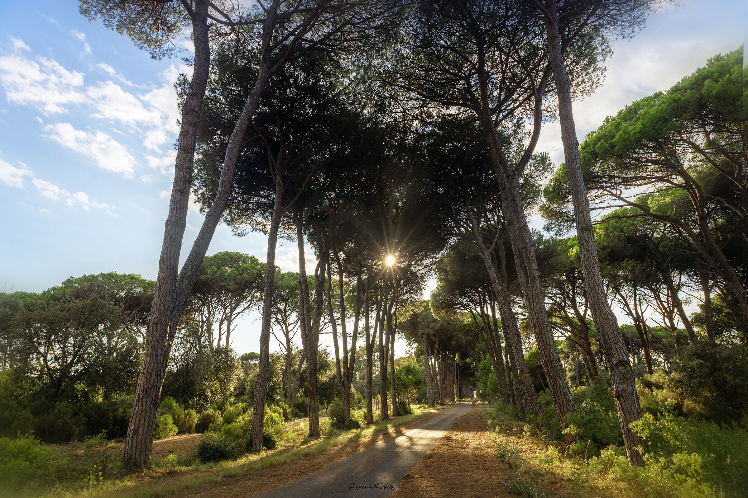 Parco Regionale San Rossore, Toscana