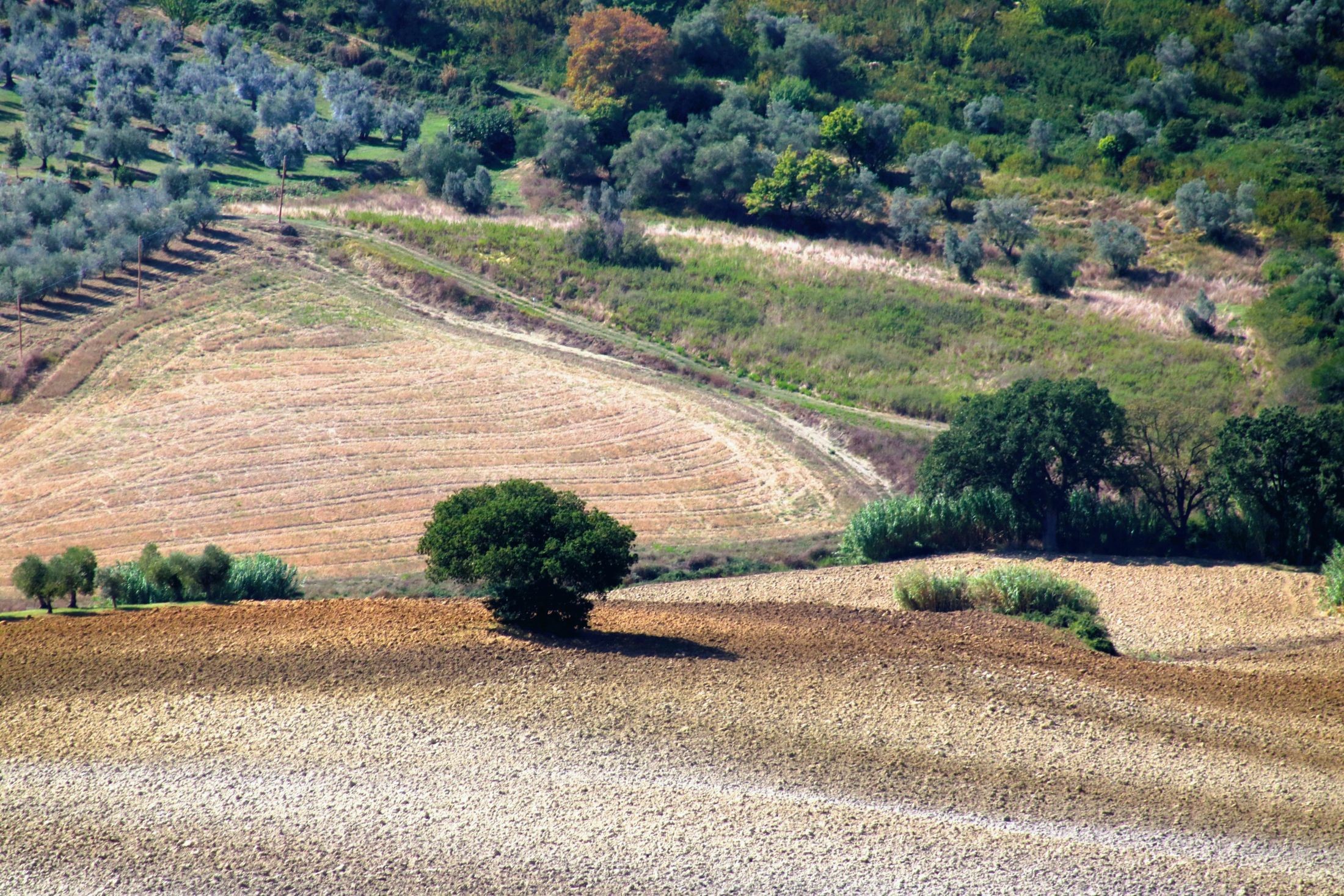 Veduta da Casale marittimo