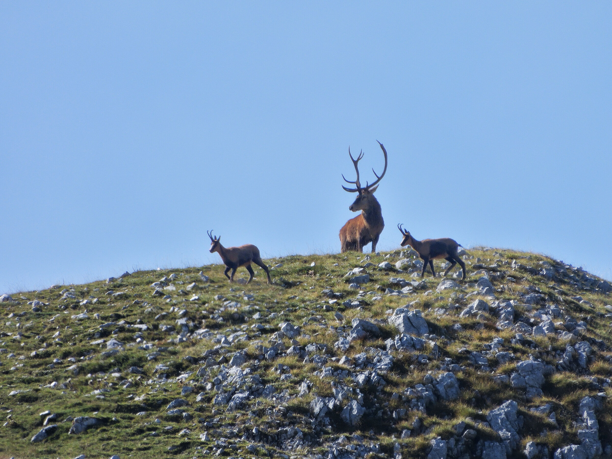High altitude dwellers...