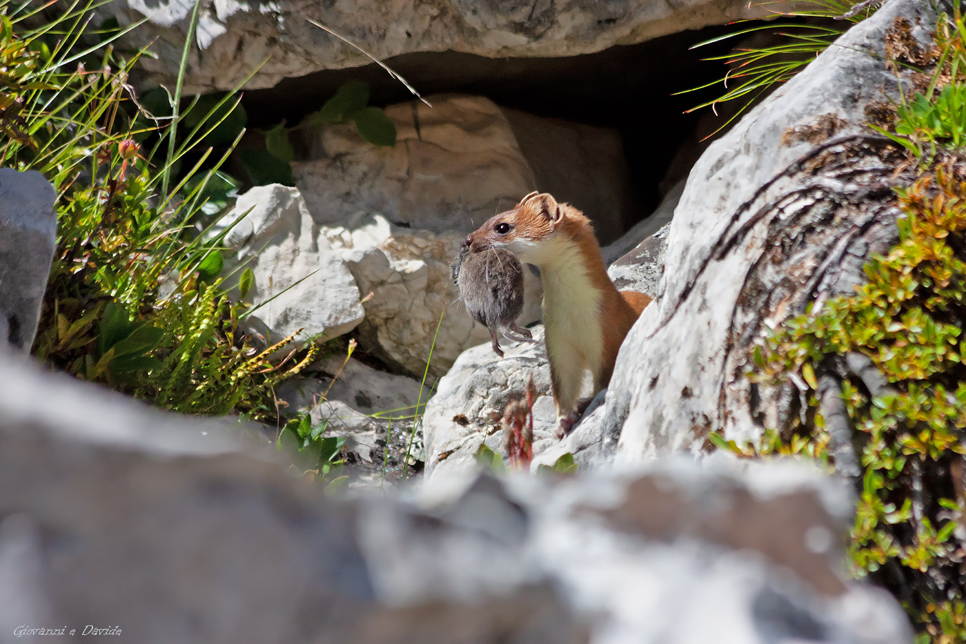 ... Nice experience...