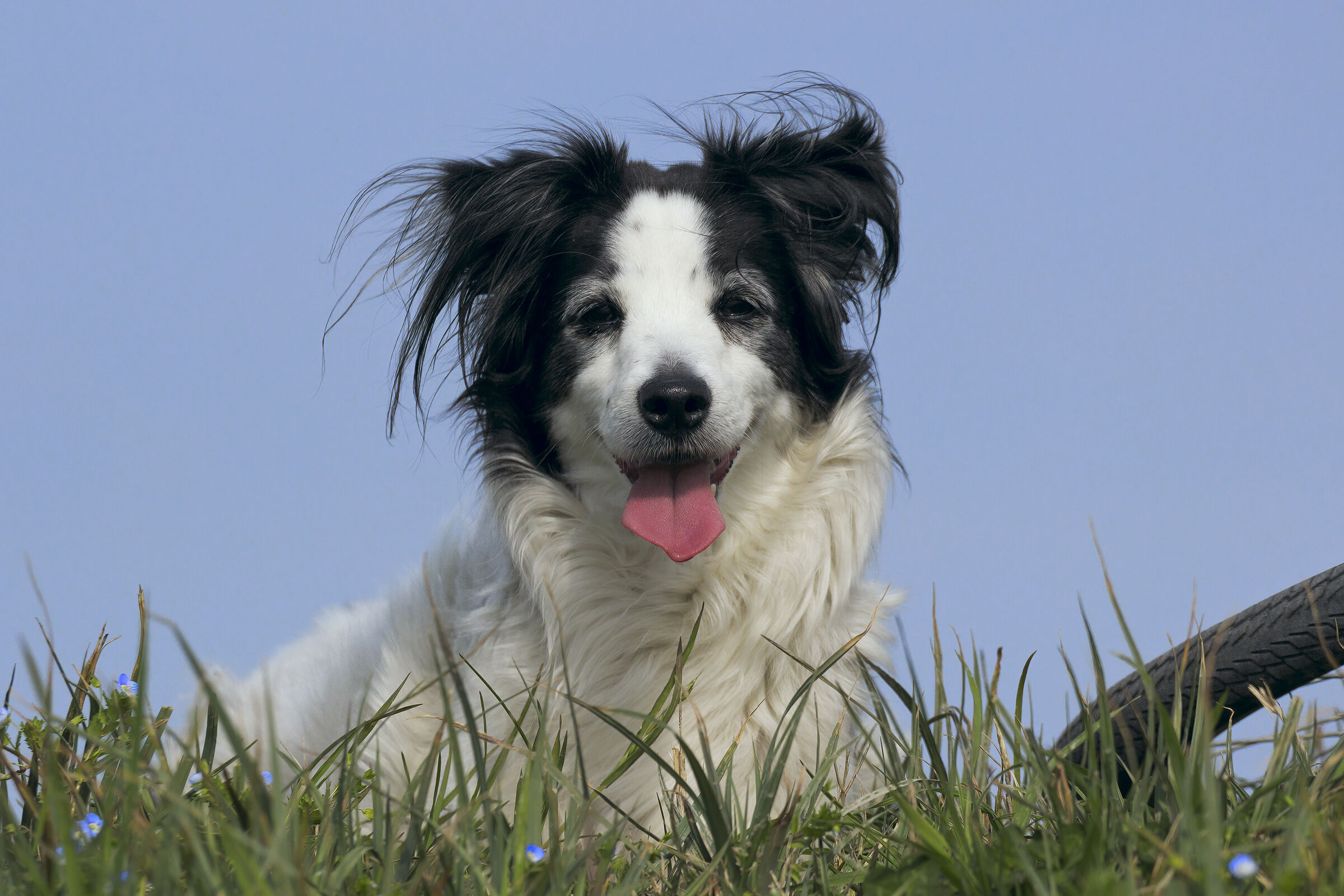 Enif e la bicicletta