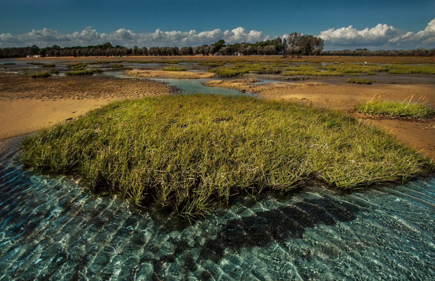 Grado Loc. Pineta - Acque basse ma cristalline