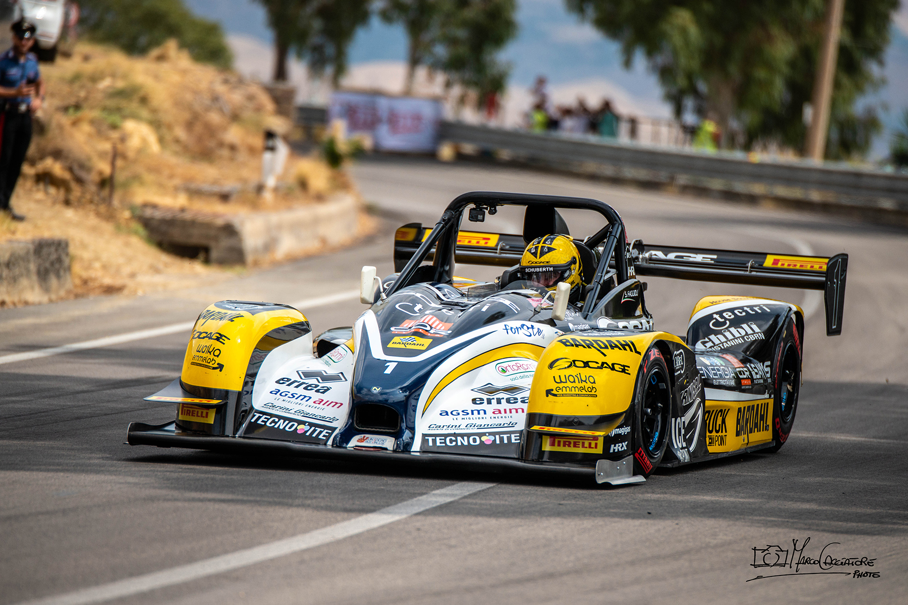 Beech Trees Champion