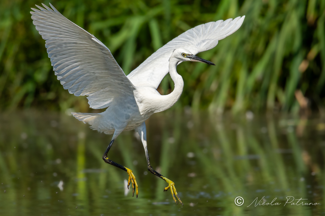 Untitled Photo