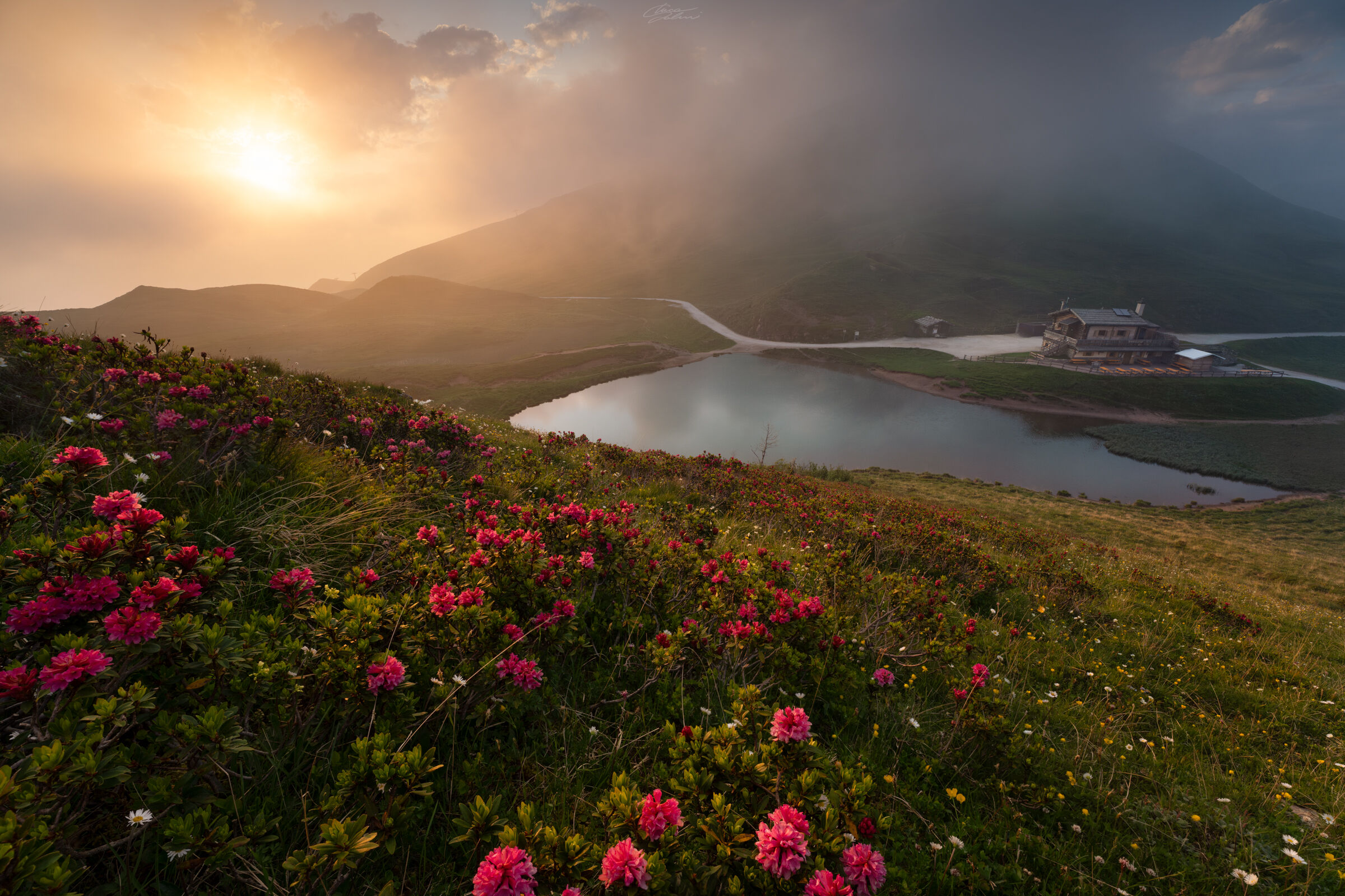 Burst of light