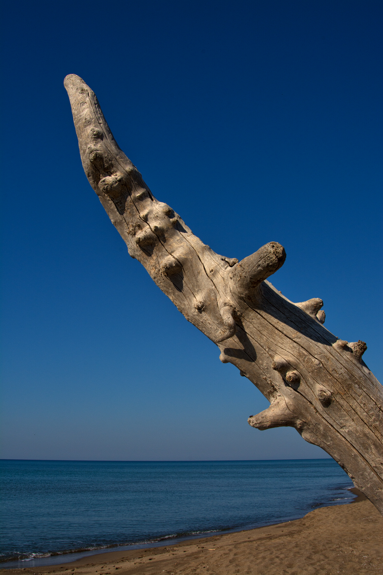 Wooden erection