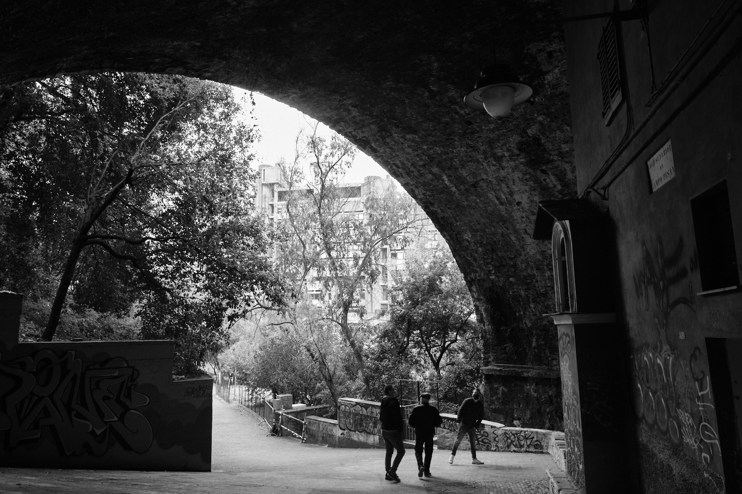 Giardini di plastica