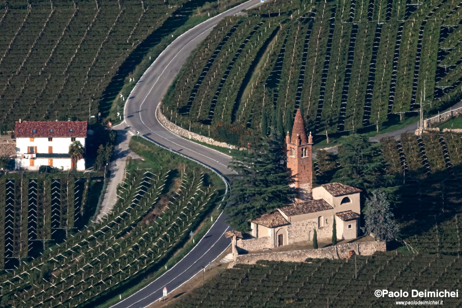 Church of San Pietro in Bosco in Ala, among the vineyards