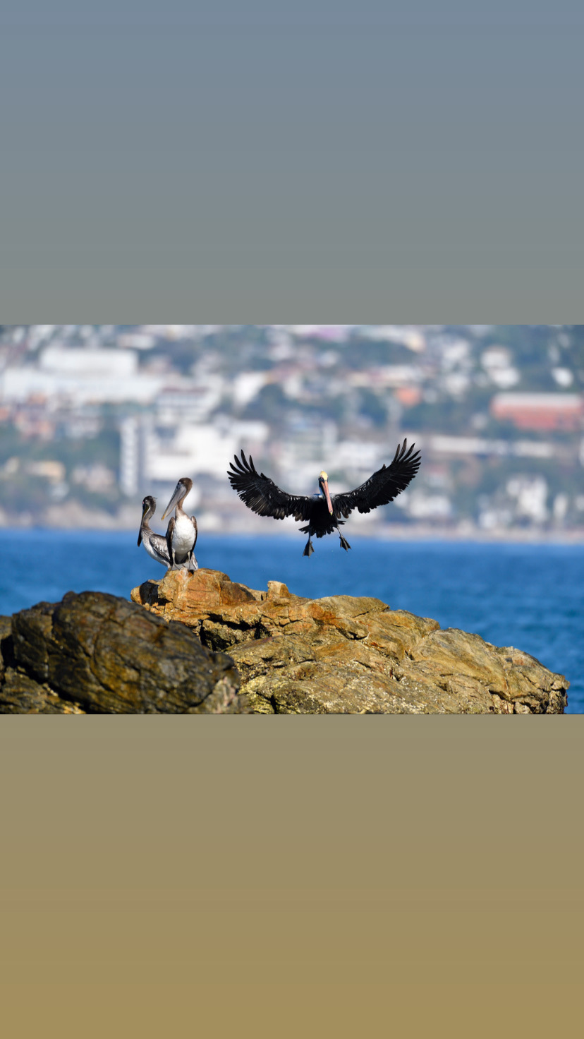 Landing...