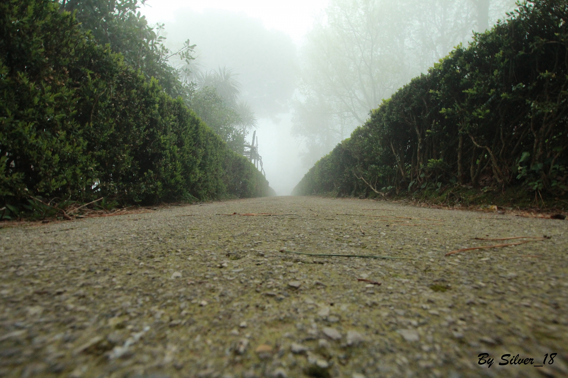 tunnel a villa cimbrone
