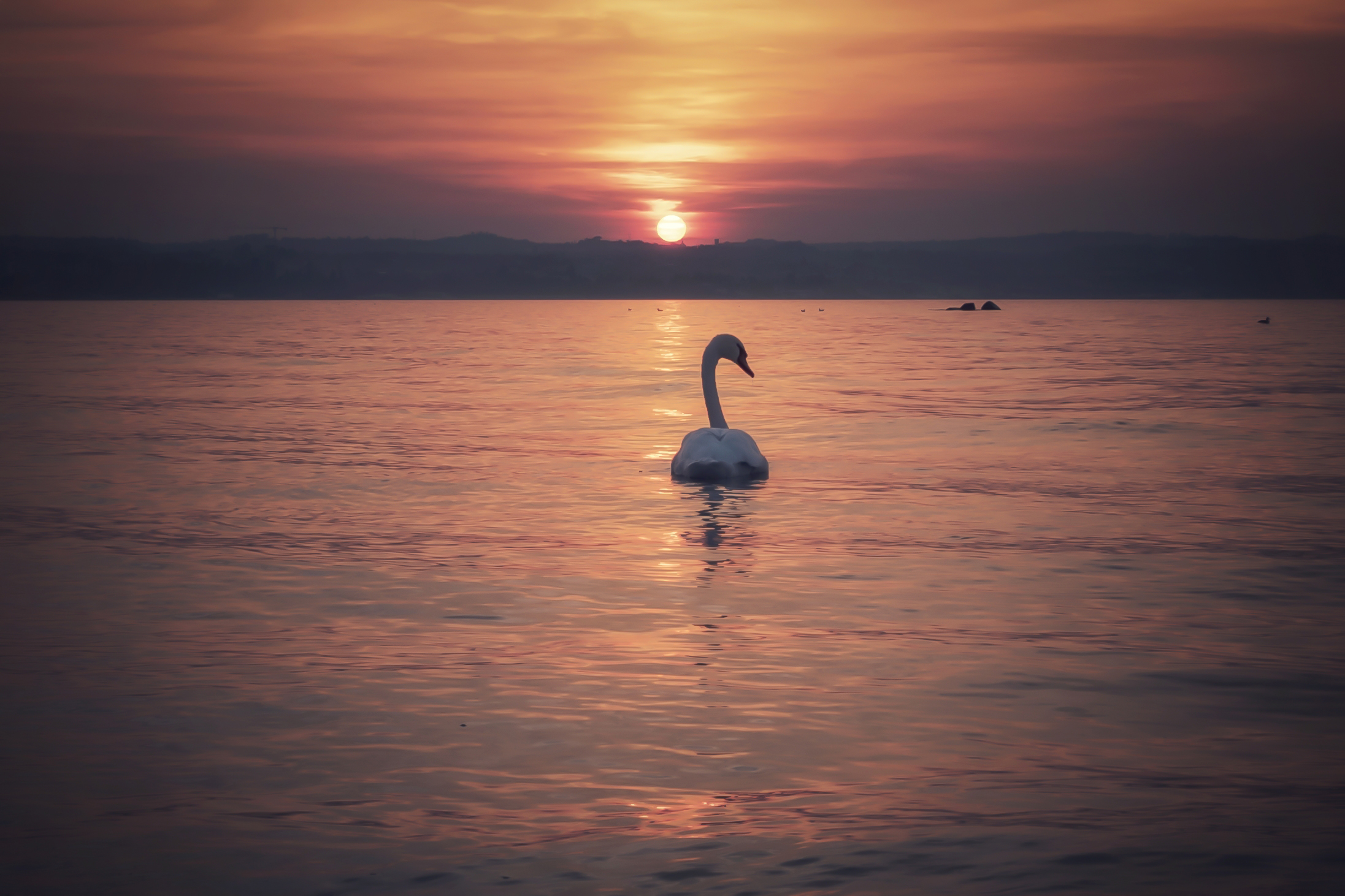 Just lonely, not alone.