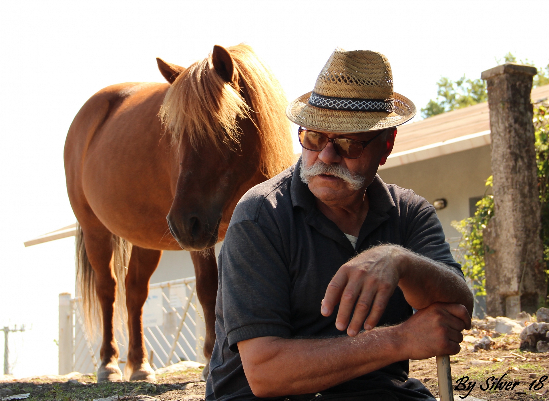 il vecchio e il pony
