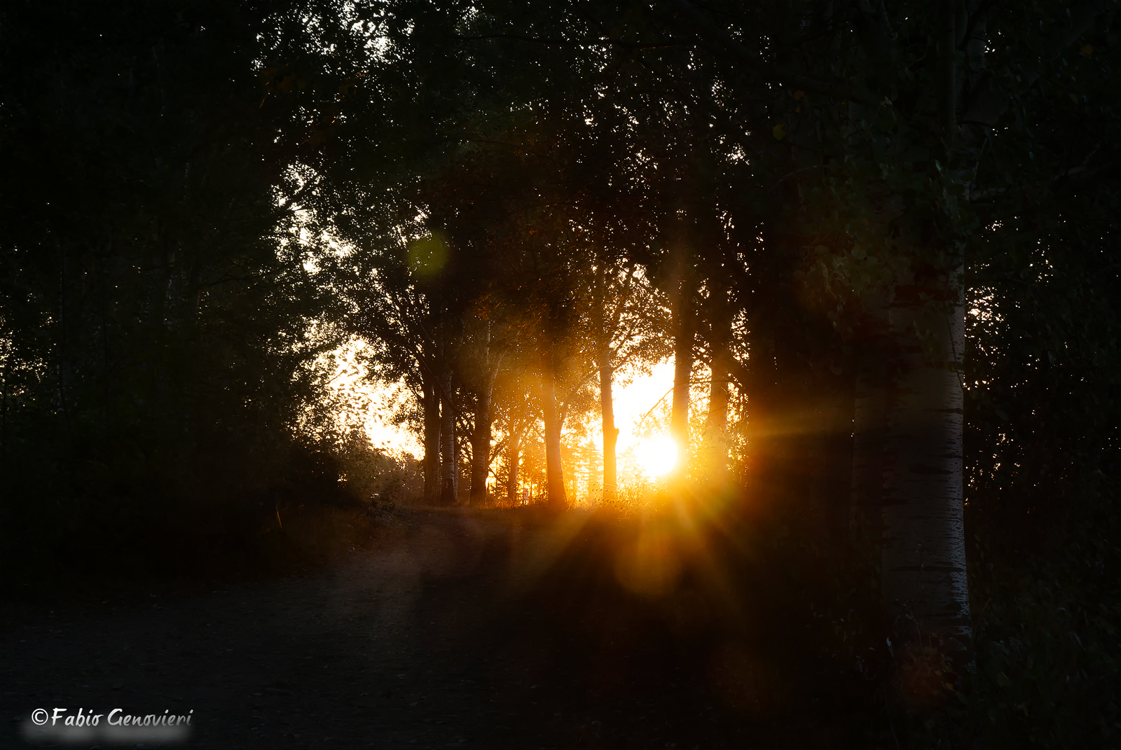 First rays of light