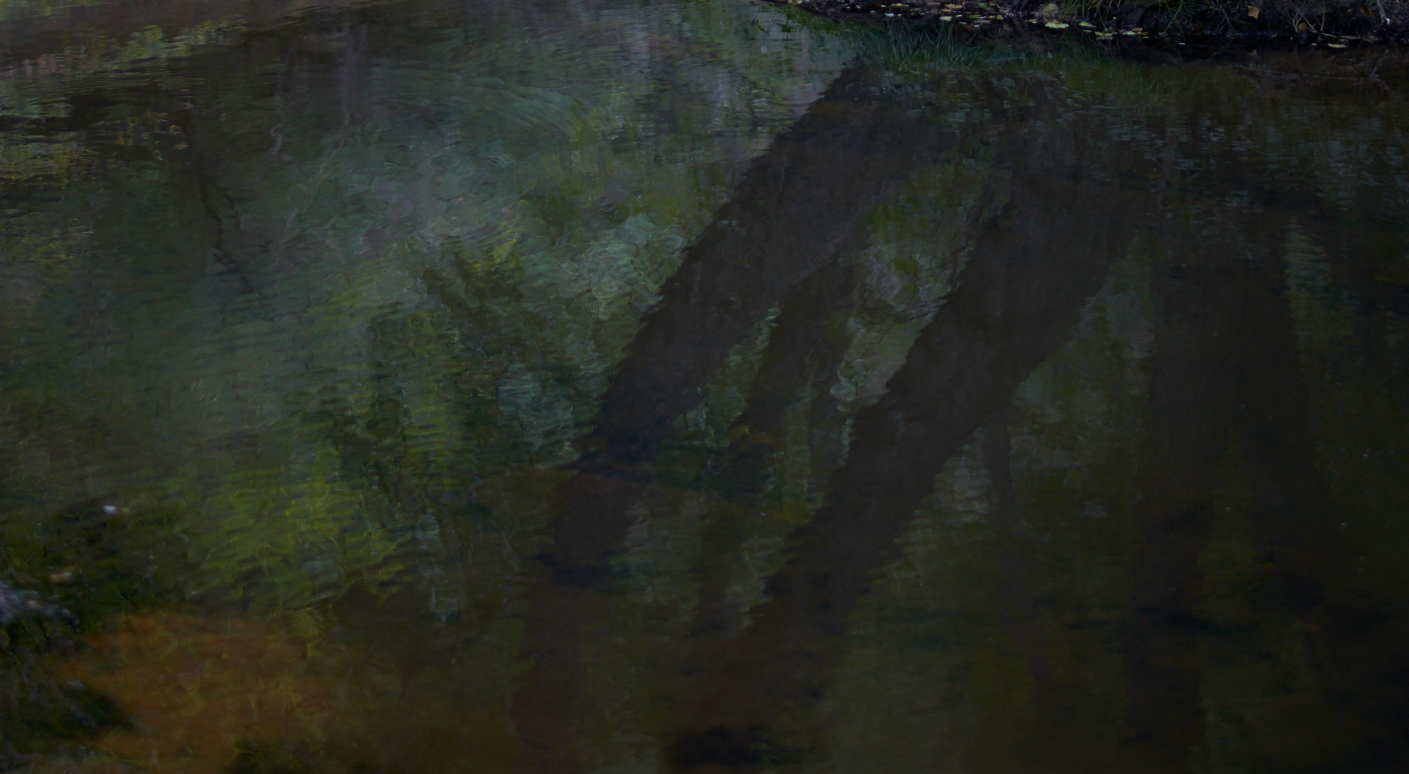 Reflections