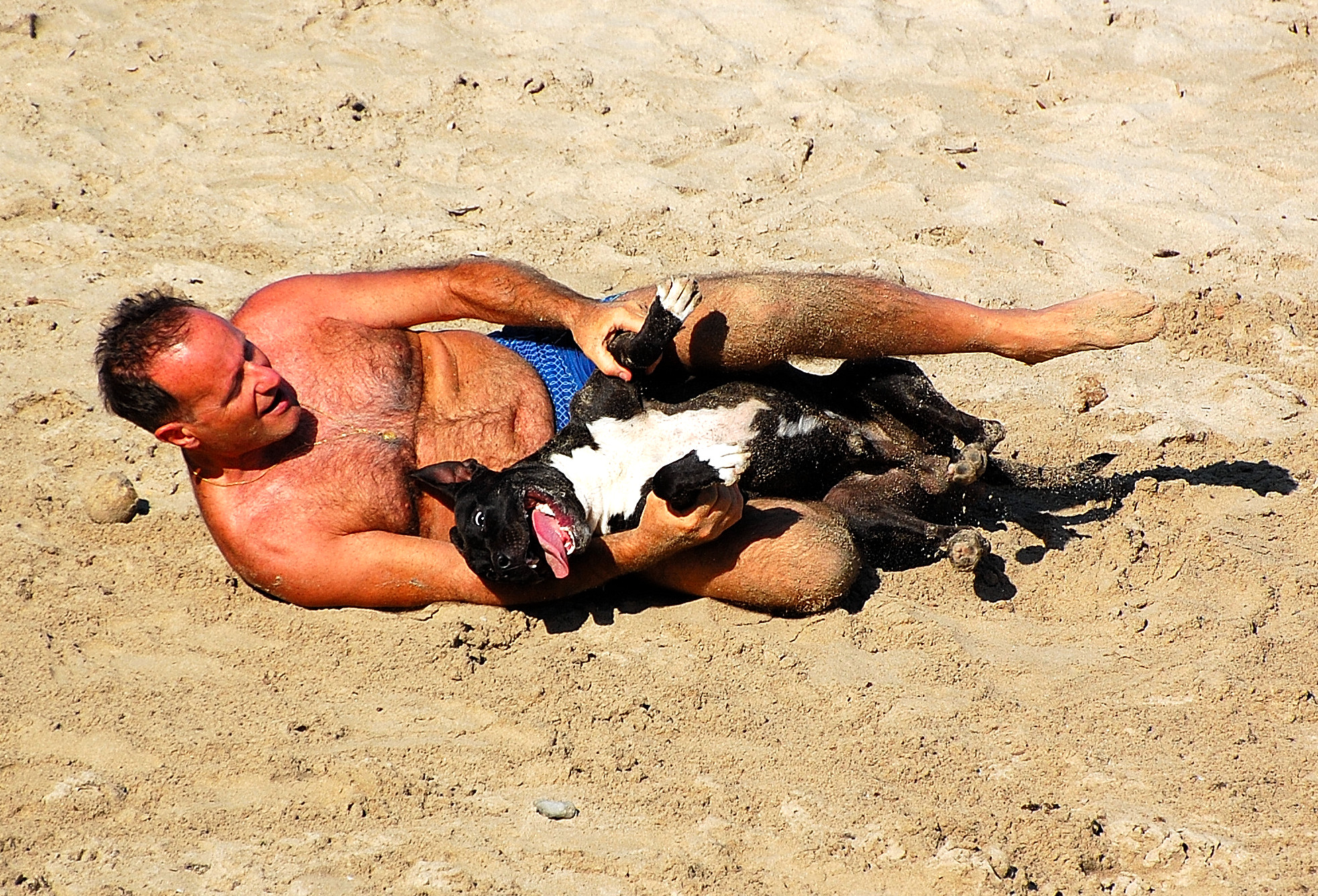 Lotta "canino-umana"