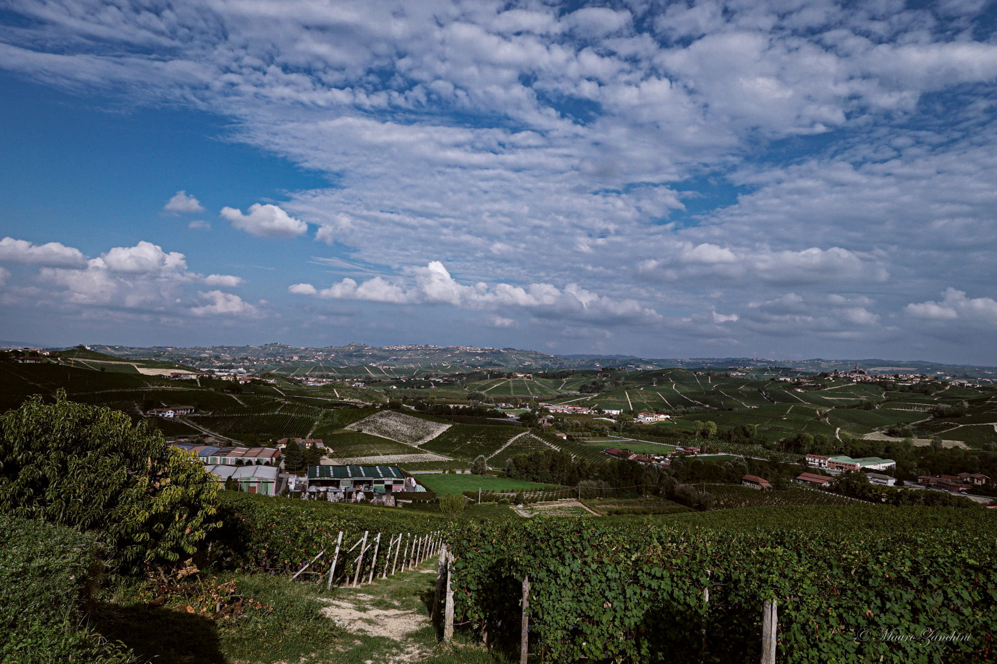 Panoramica Langhe Piemonte