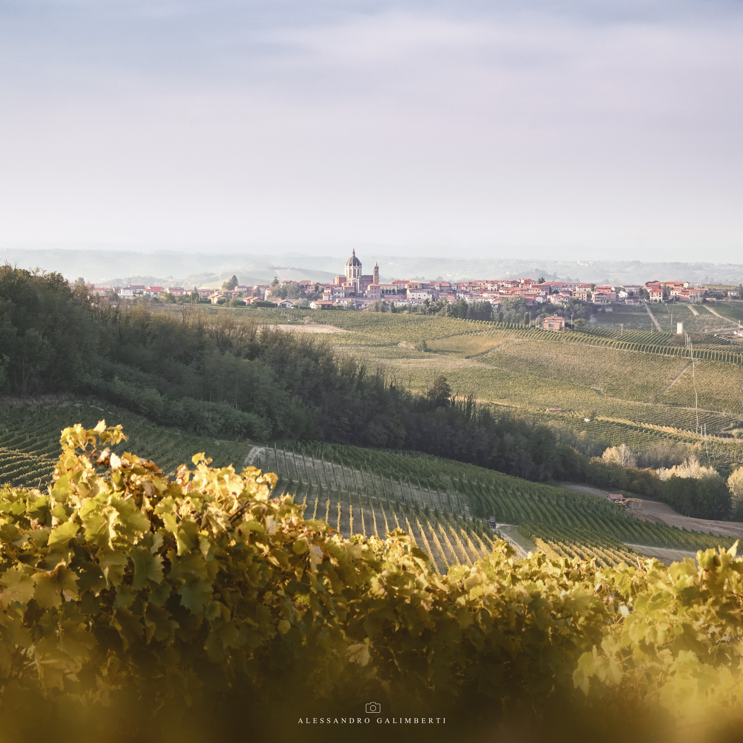 Sguardo oltre i vigneti