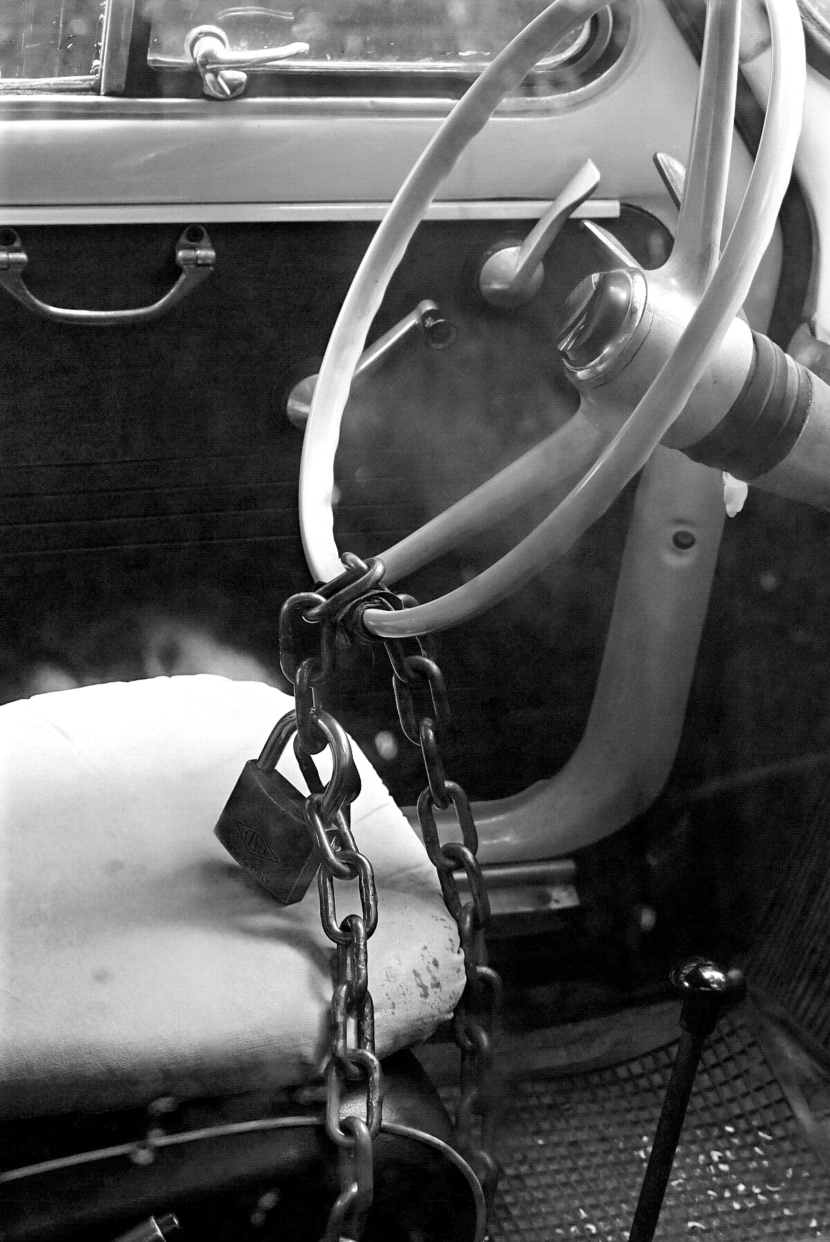 Quando rubi solo la foto!!!