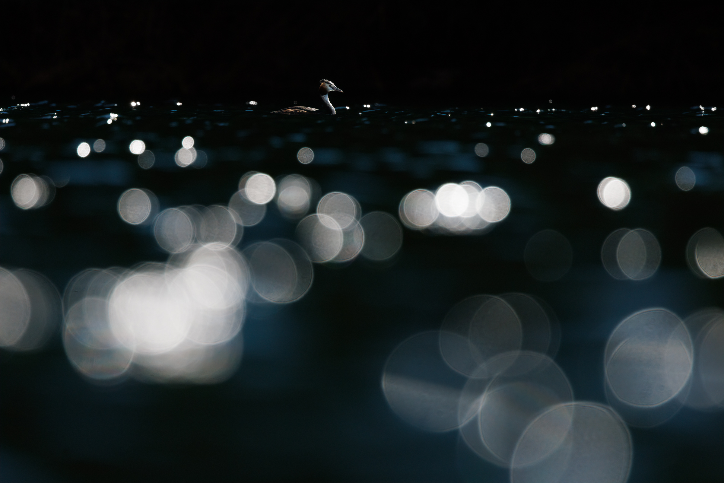 Summer lights