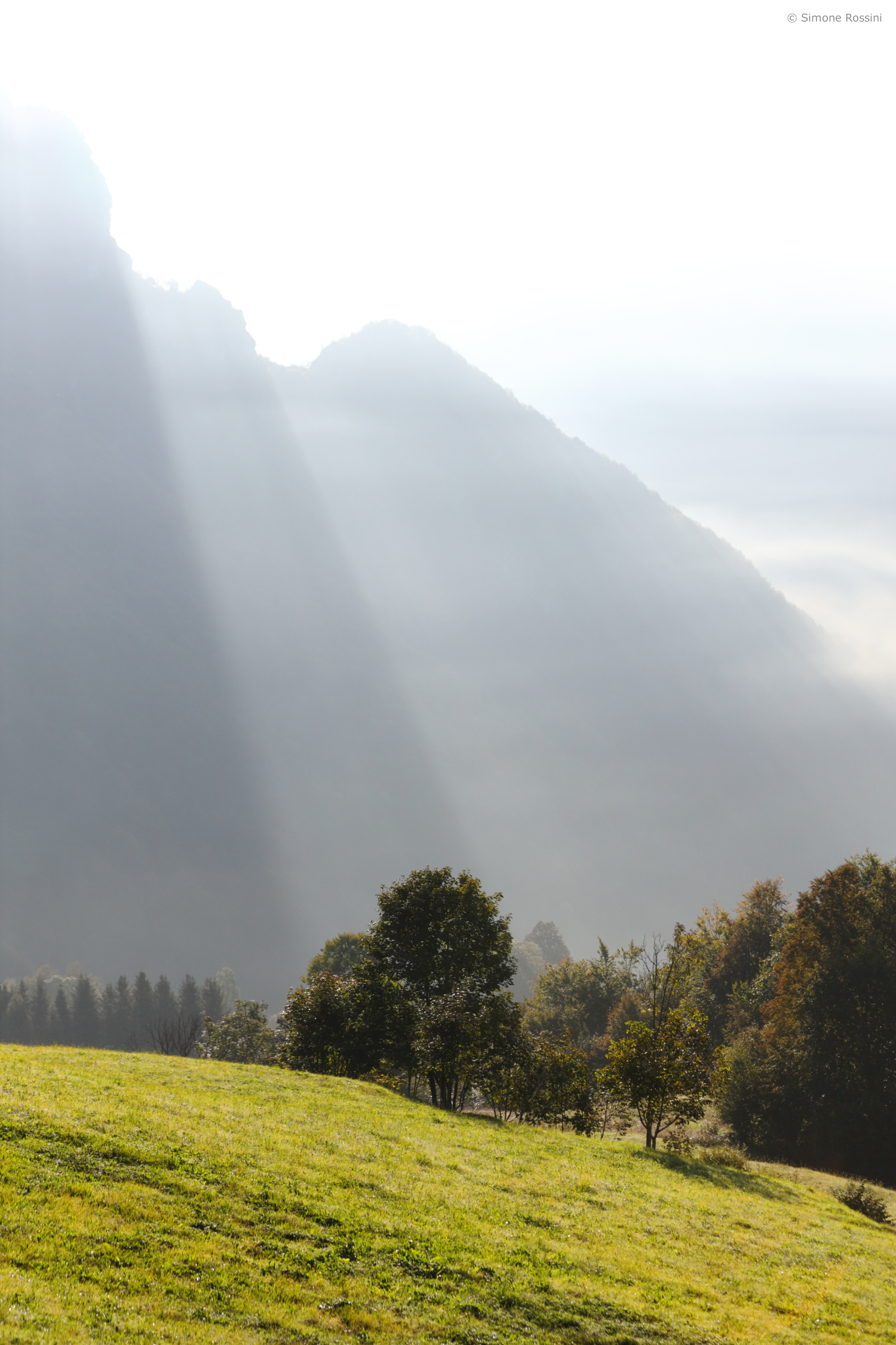 First rays in Pizzino