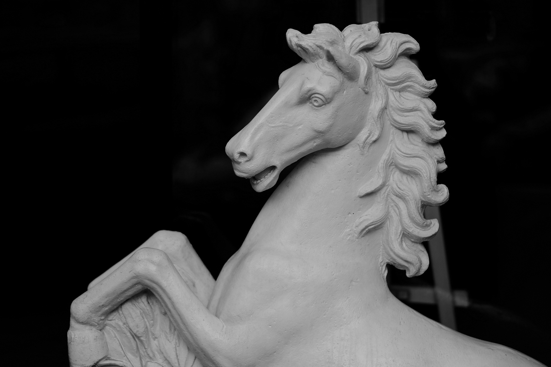 The horse