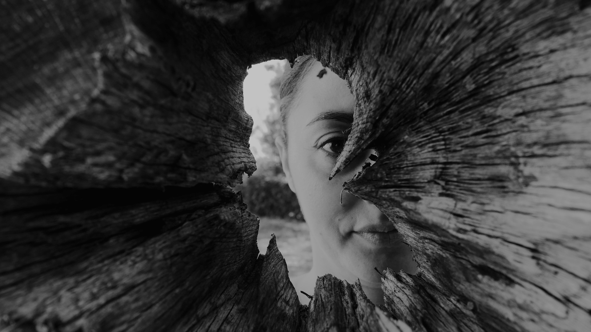 inside tree