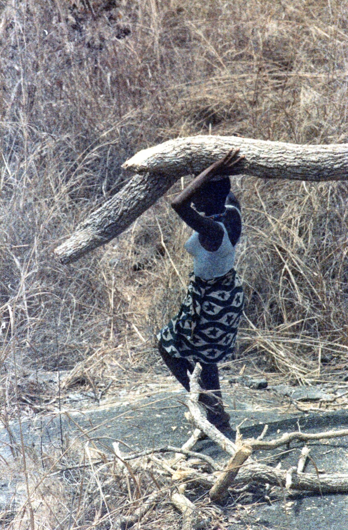 Conakry e dintorni