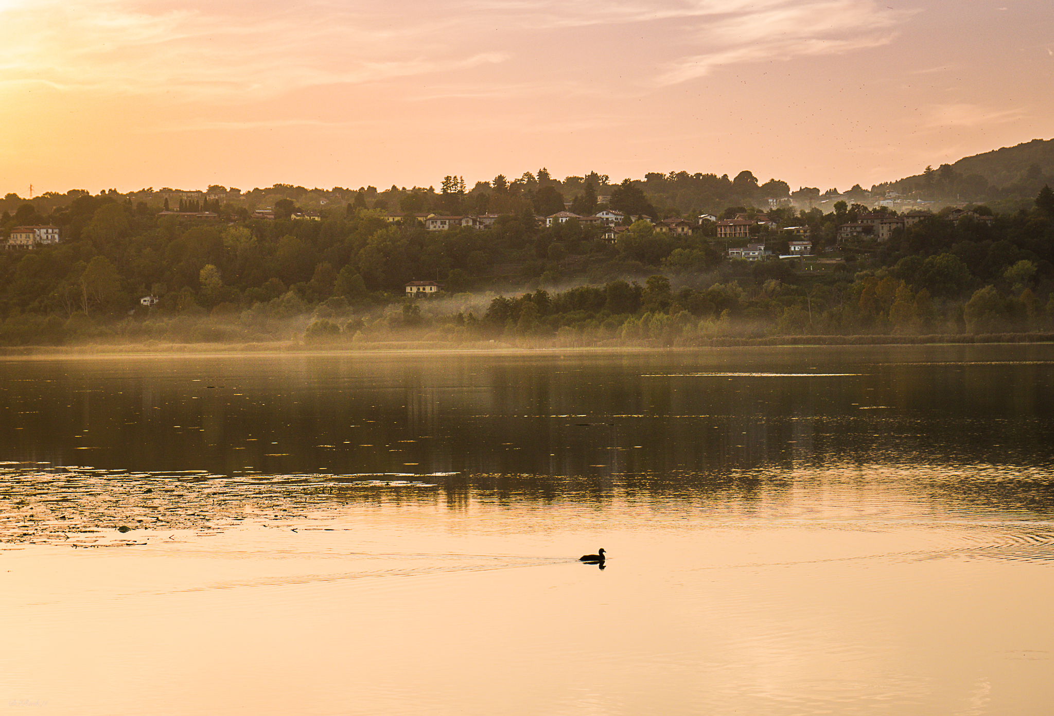 Sunset over the lake
