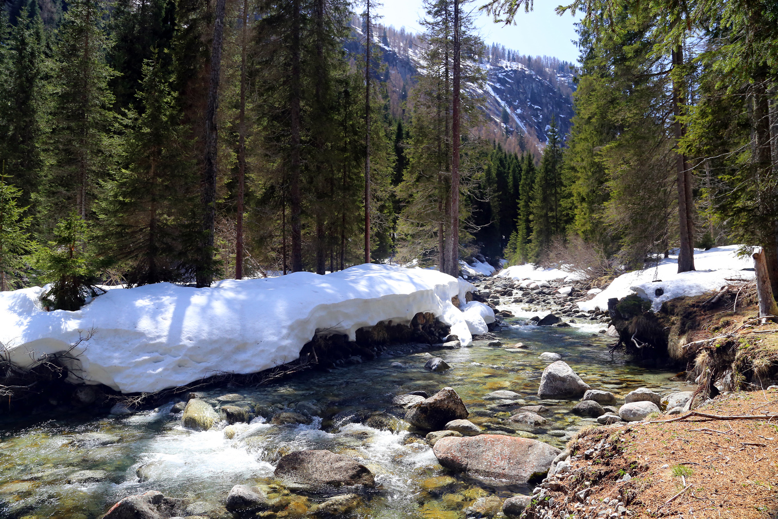 Fiume della Val Daone