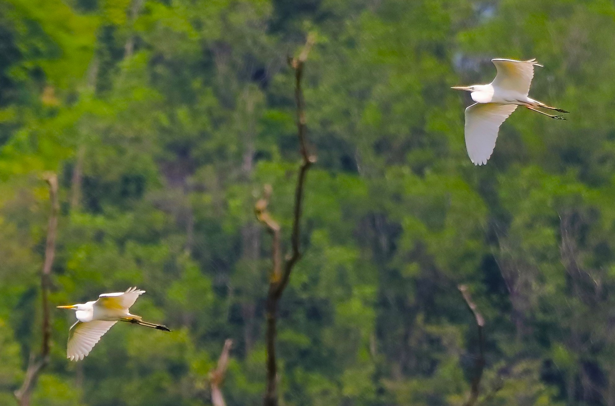 Aironi BM 24-05-2023