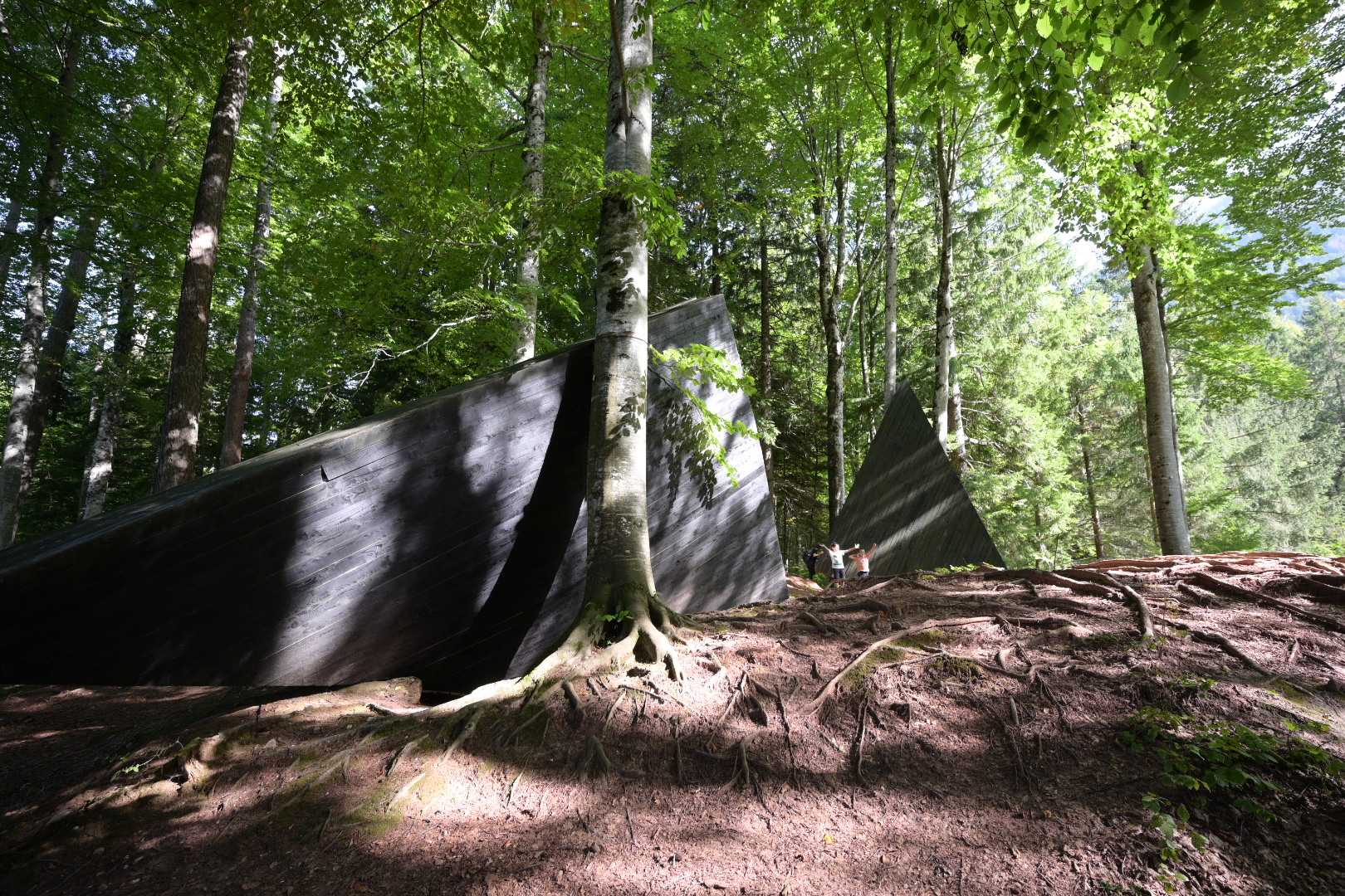 Prisma in the forest 23