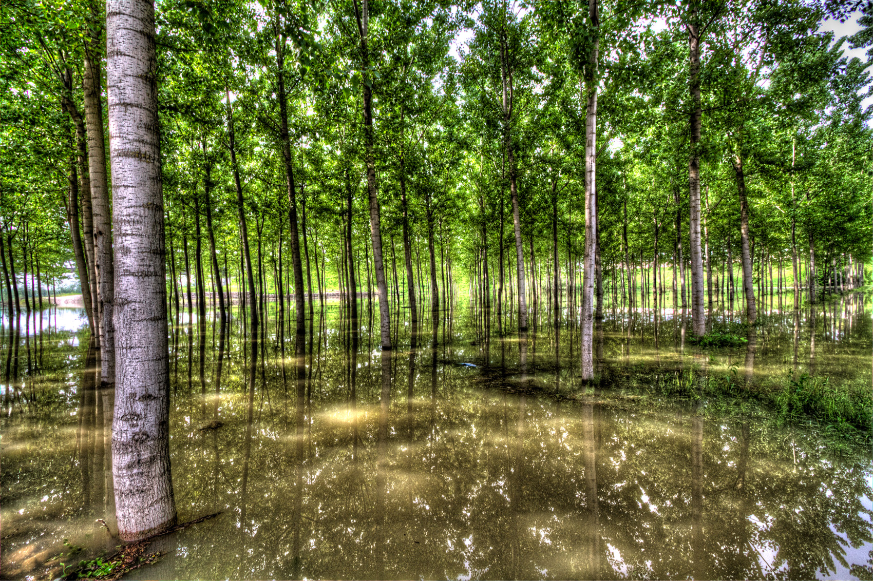 uscita del po' a piacenza nel sottobosco